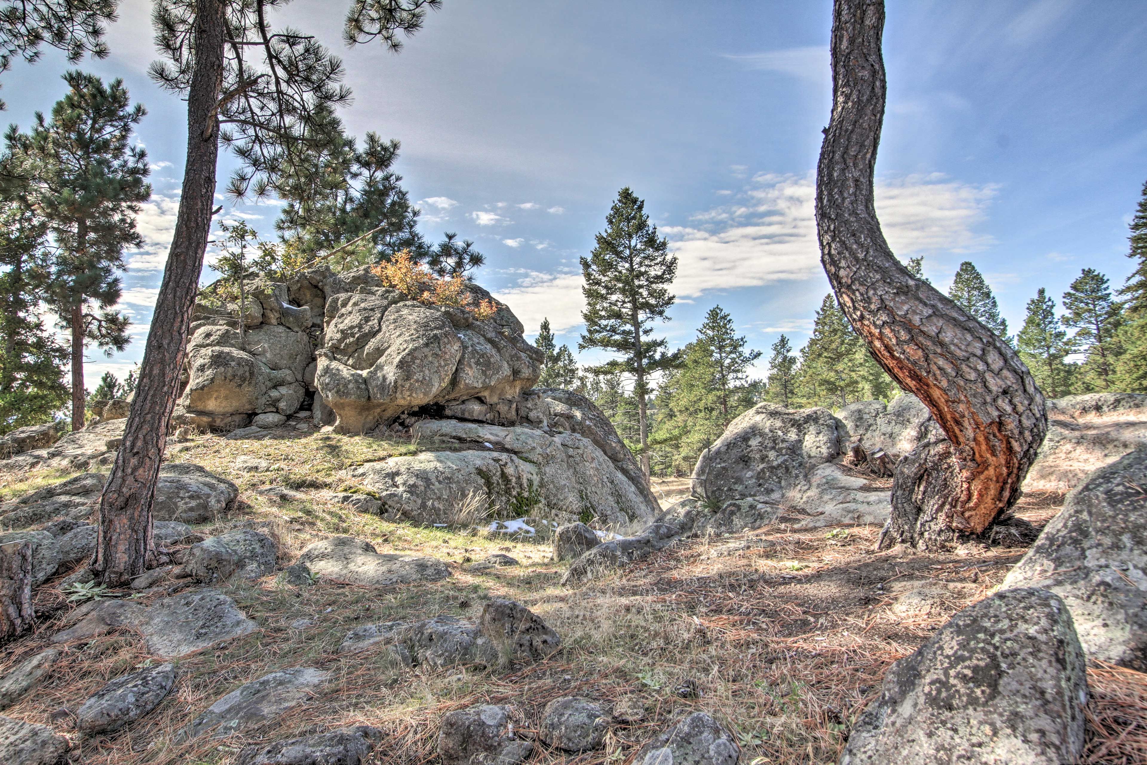 The kids and the dogs will love exploring the surrounding grounds.