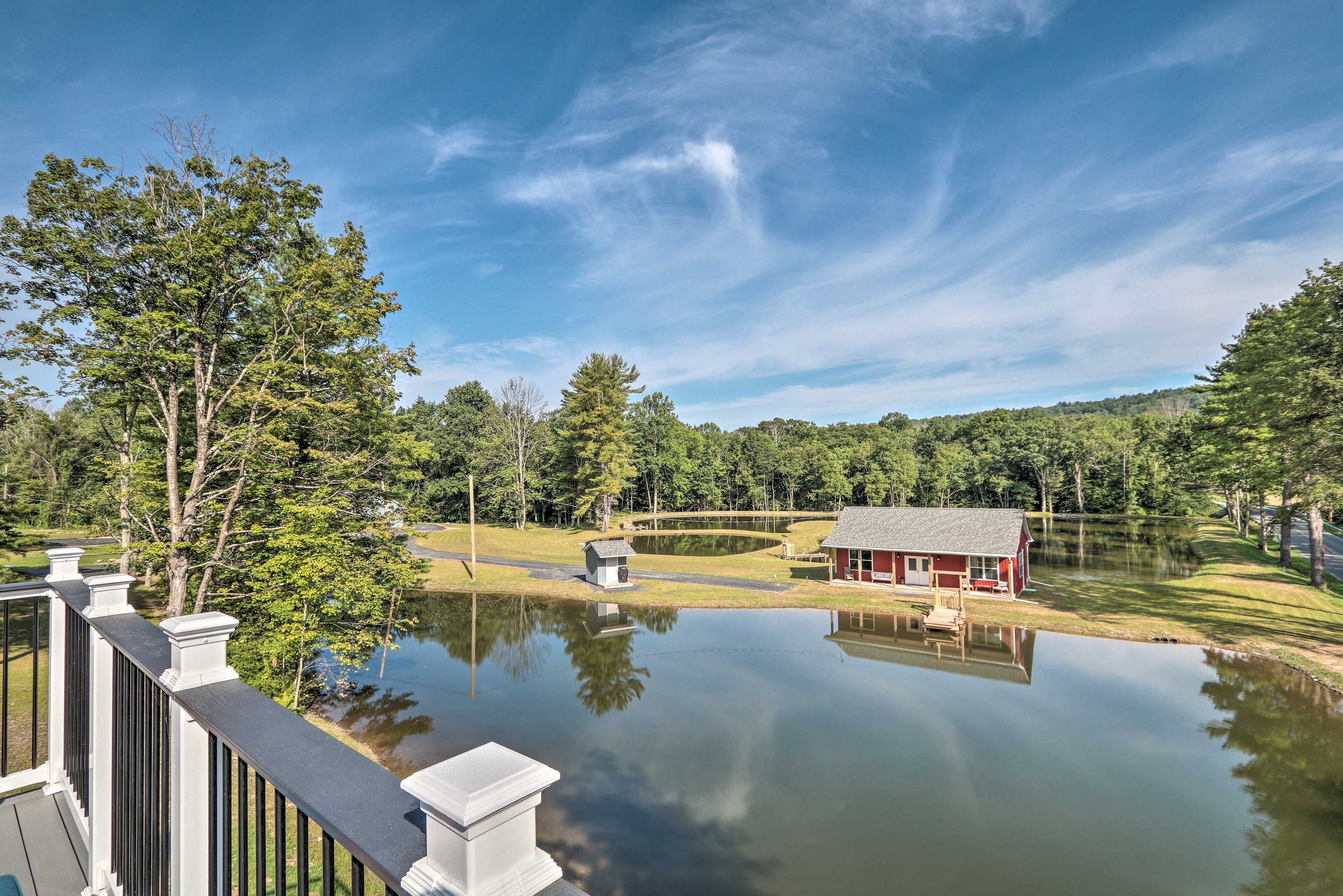 Property Views