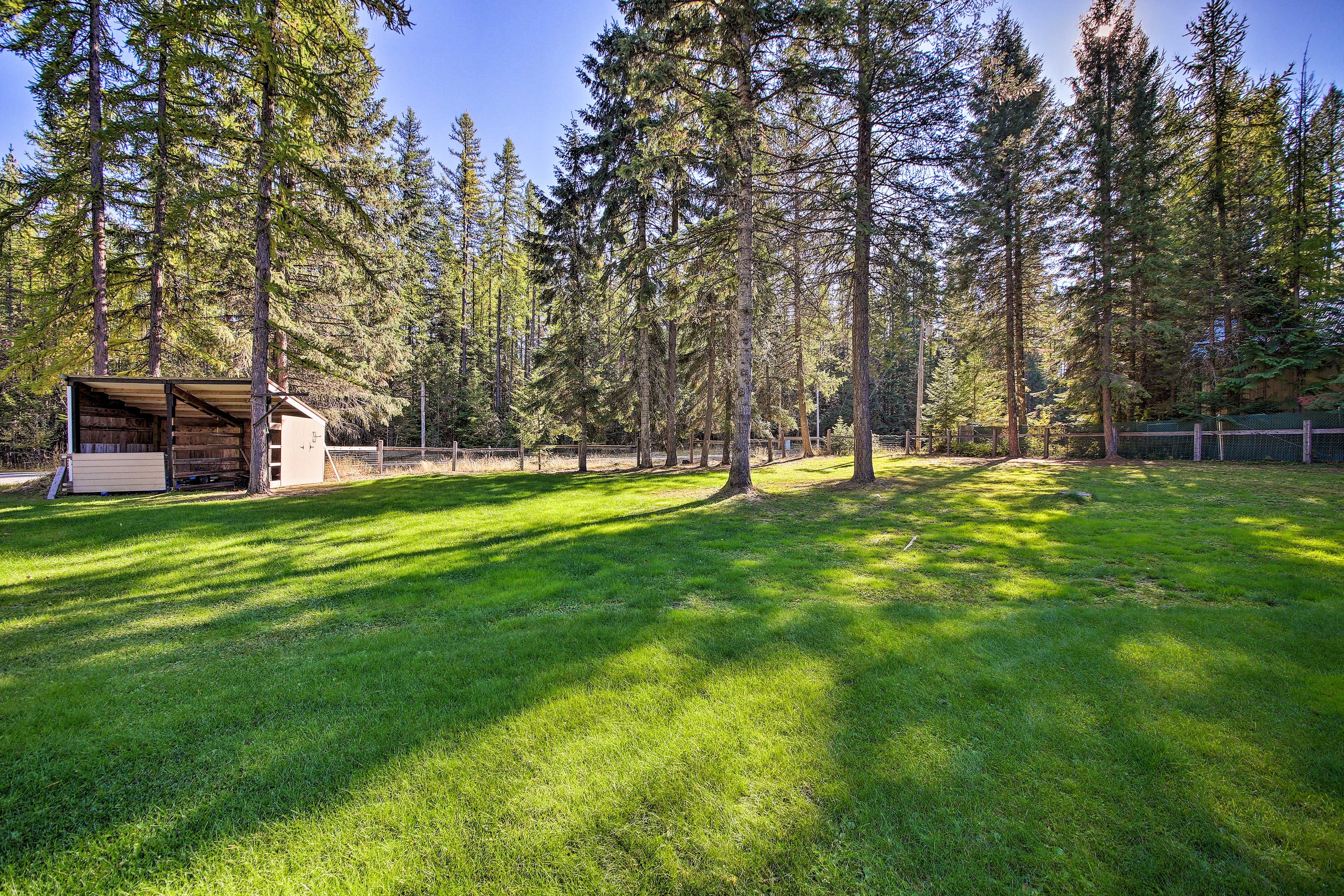 Spacious Yard
