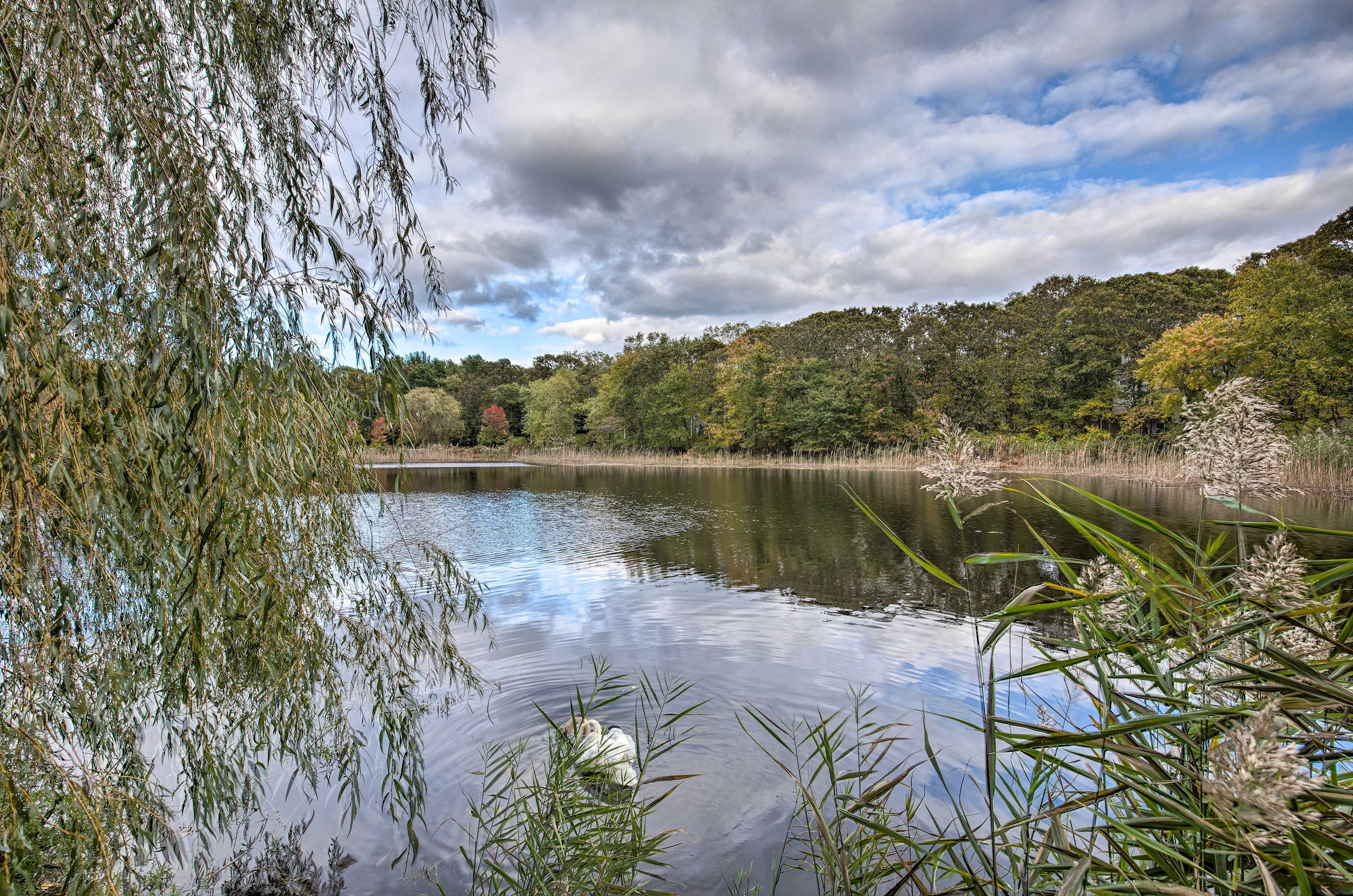 Watch the wildlife on the lake.