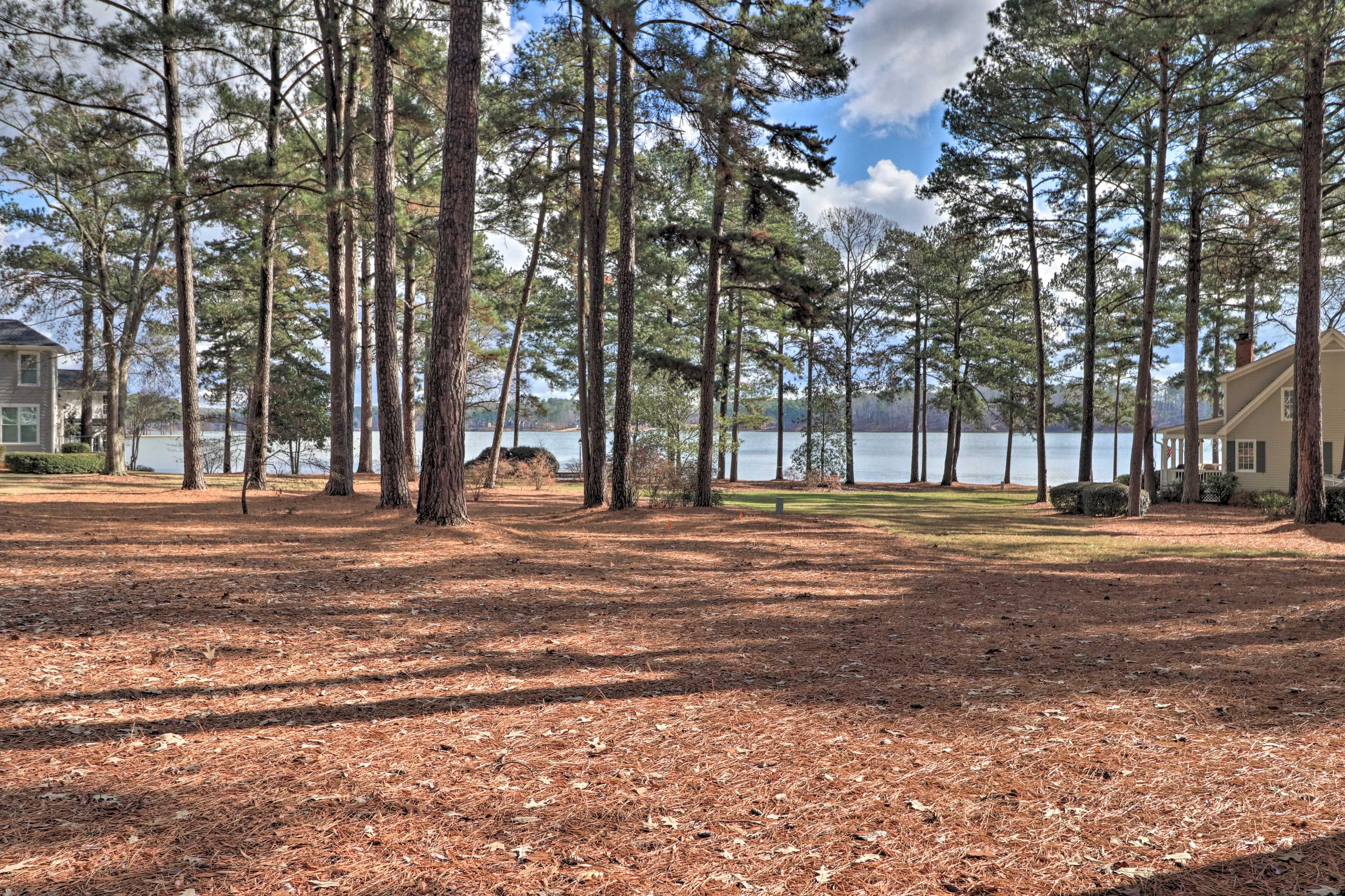 Walk to the lake!