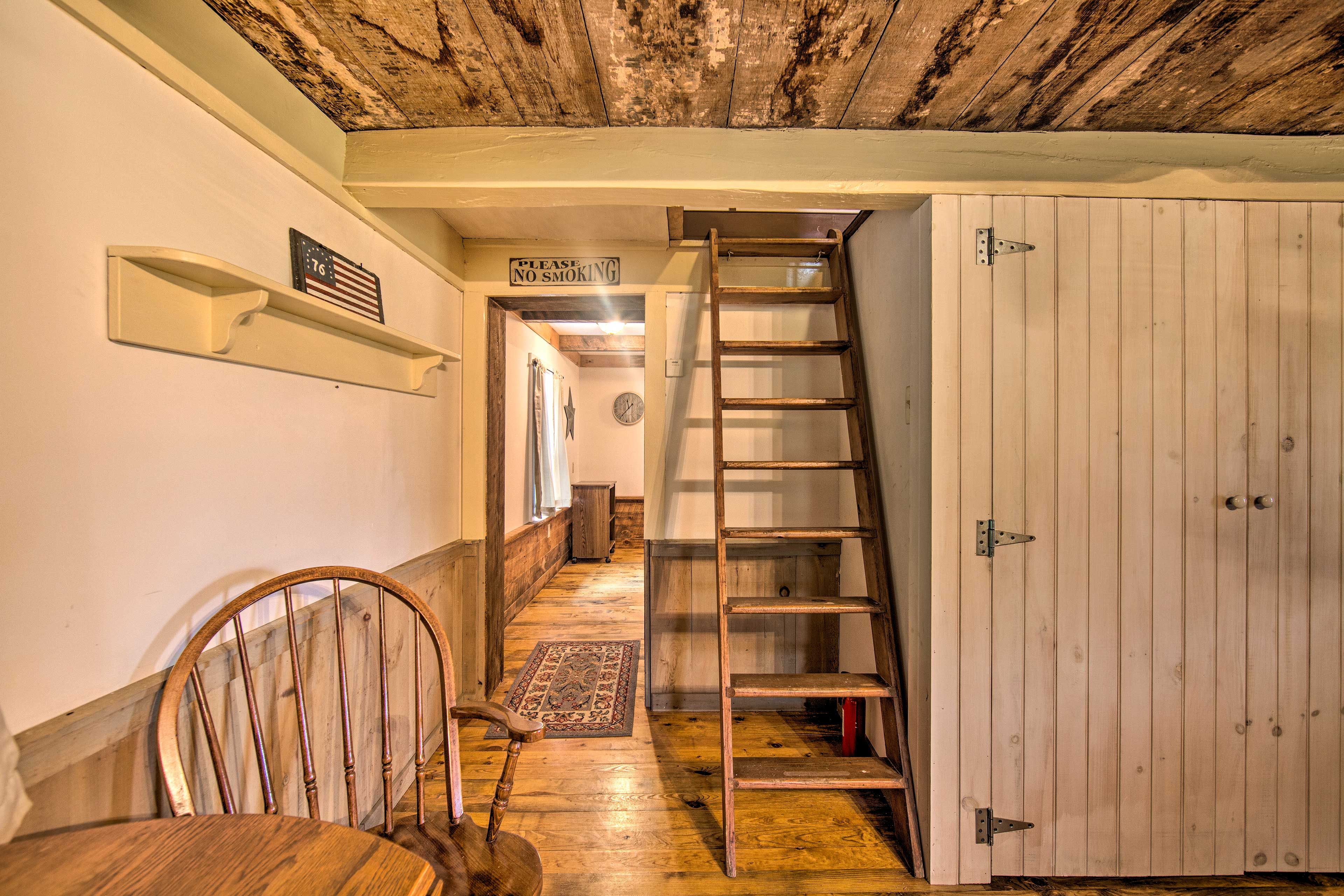 Ladder to Loft