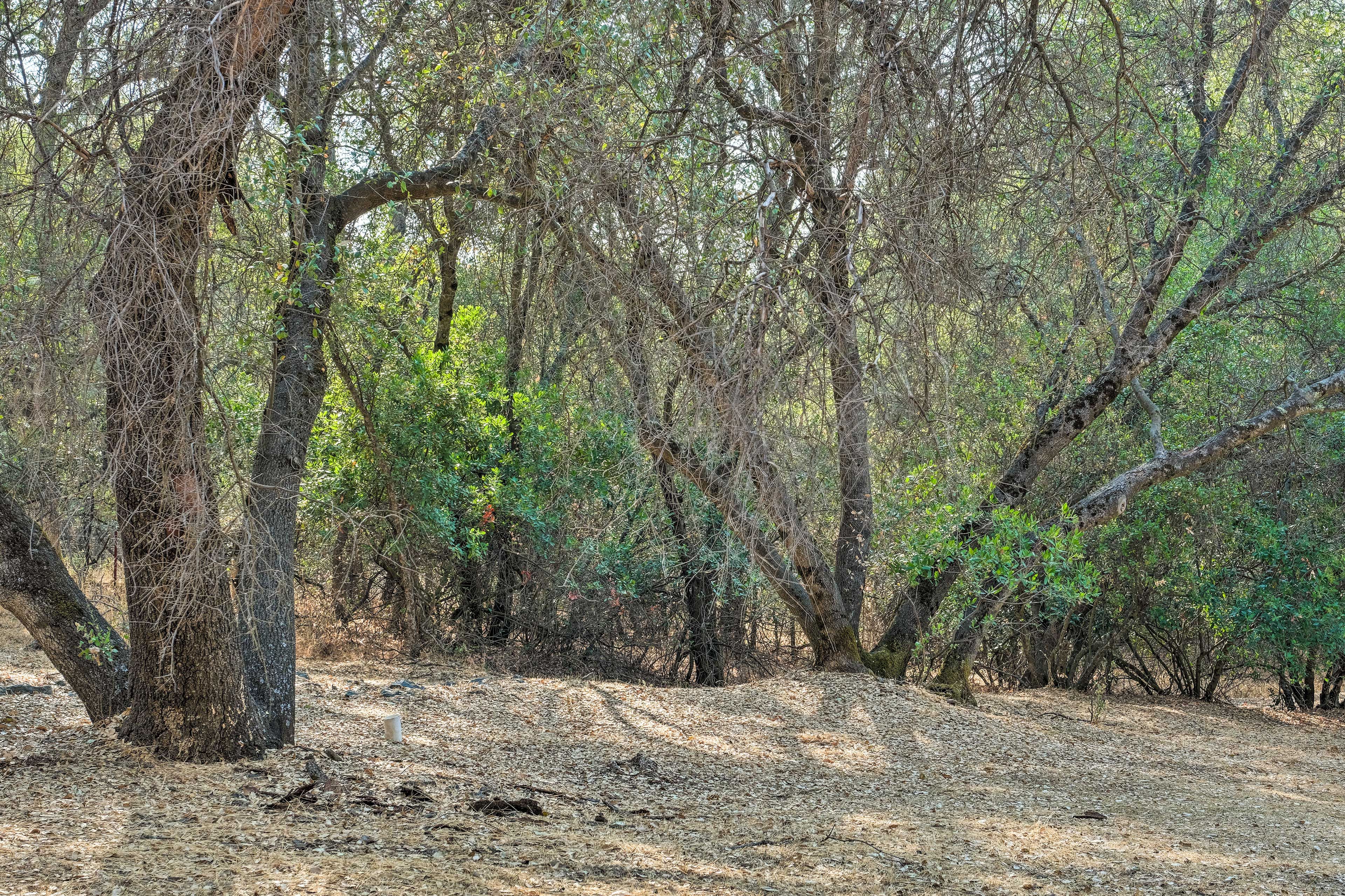 Enjoy your peaceful wooded surroundings.