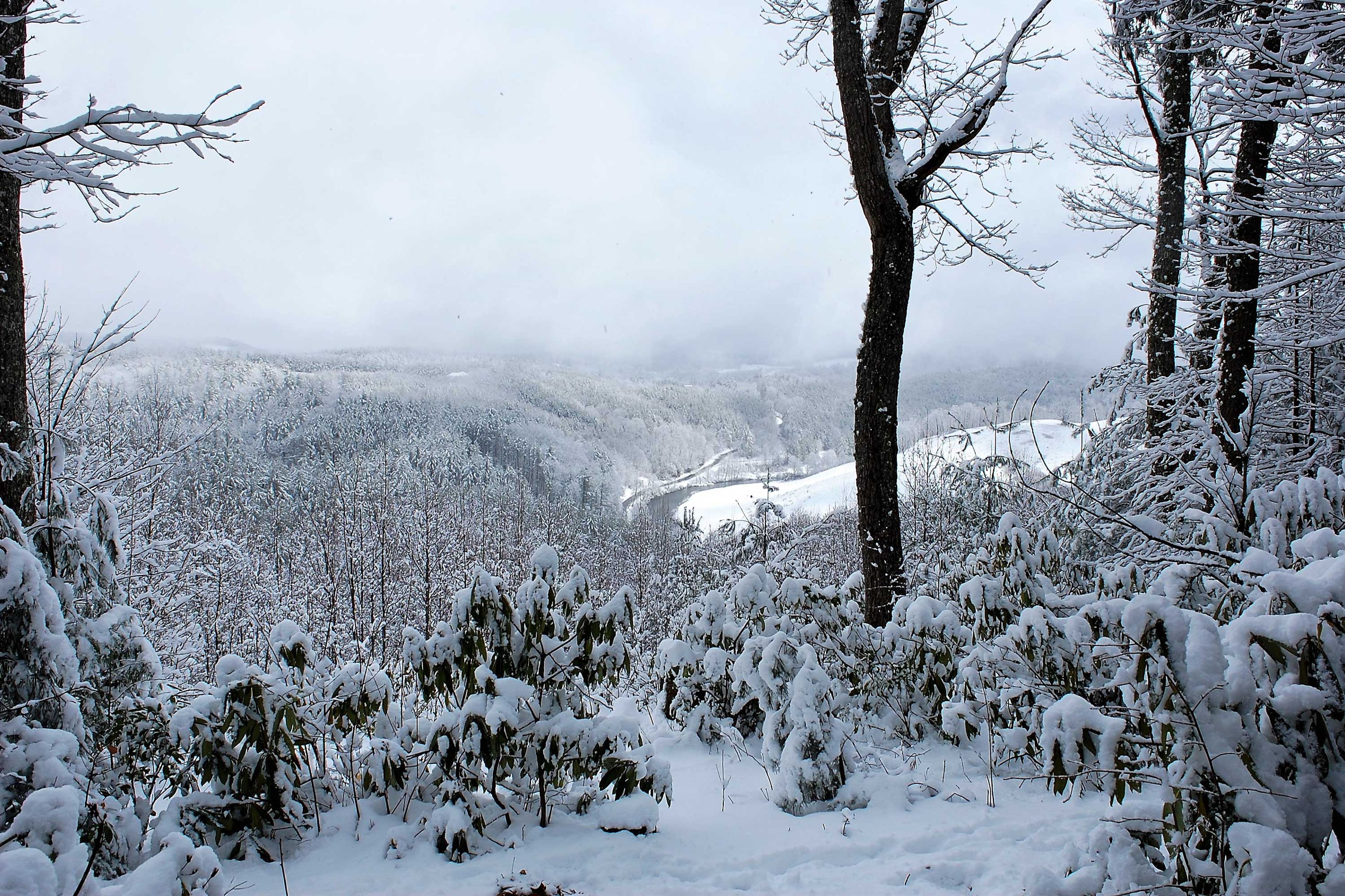 Seasonal Views