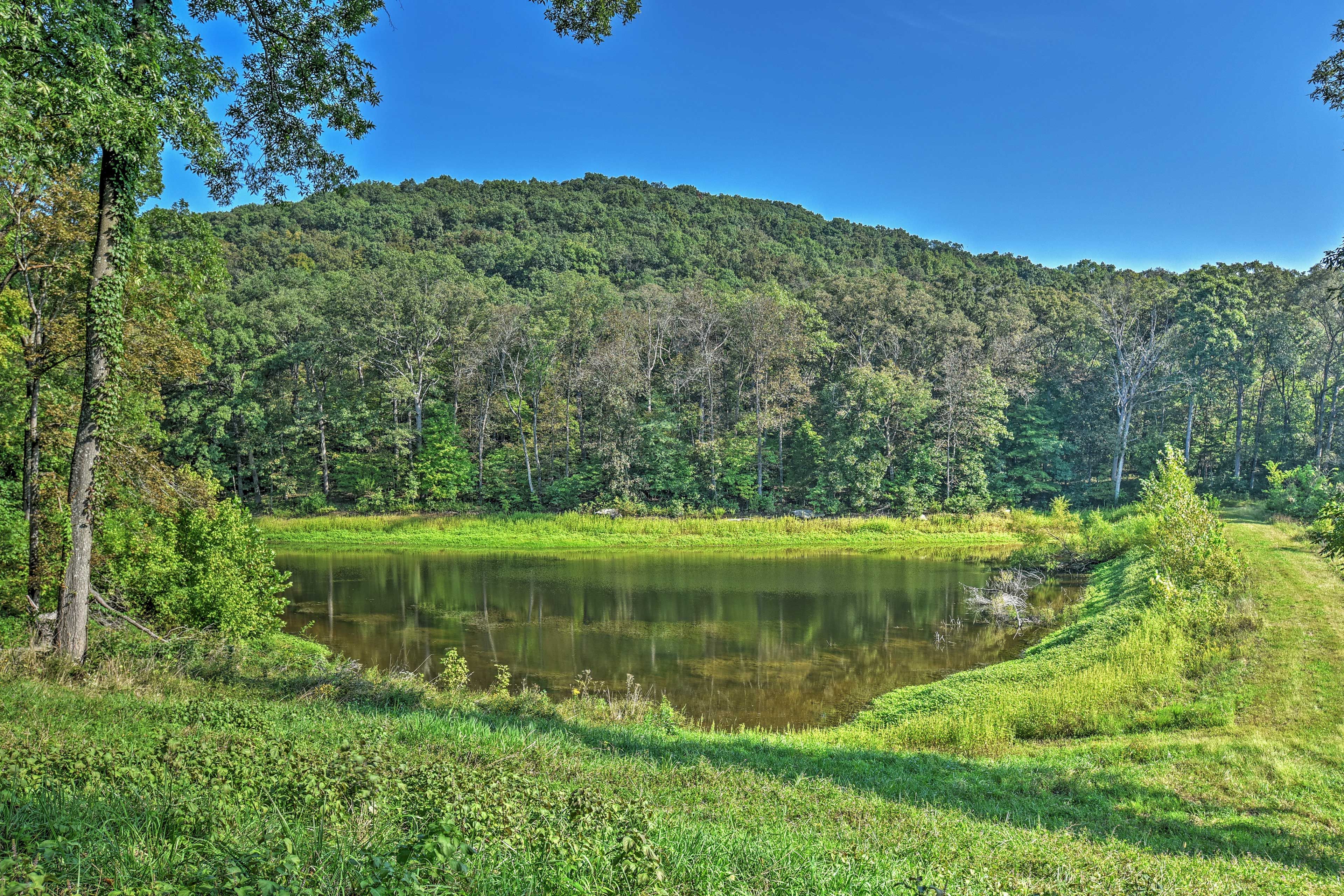 On-Site Fishing Pond
