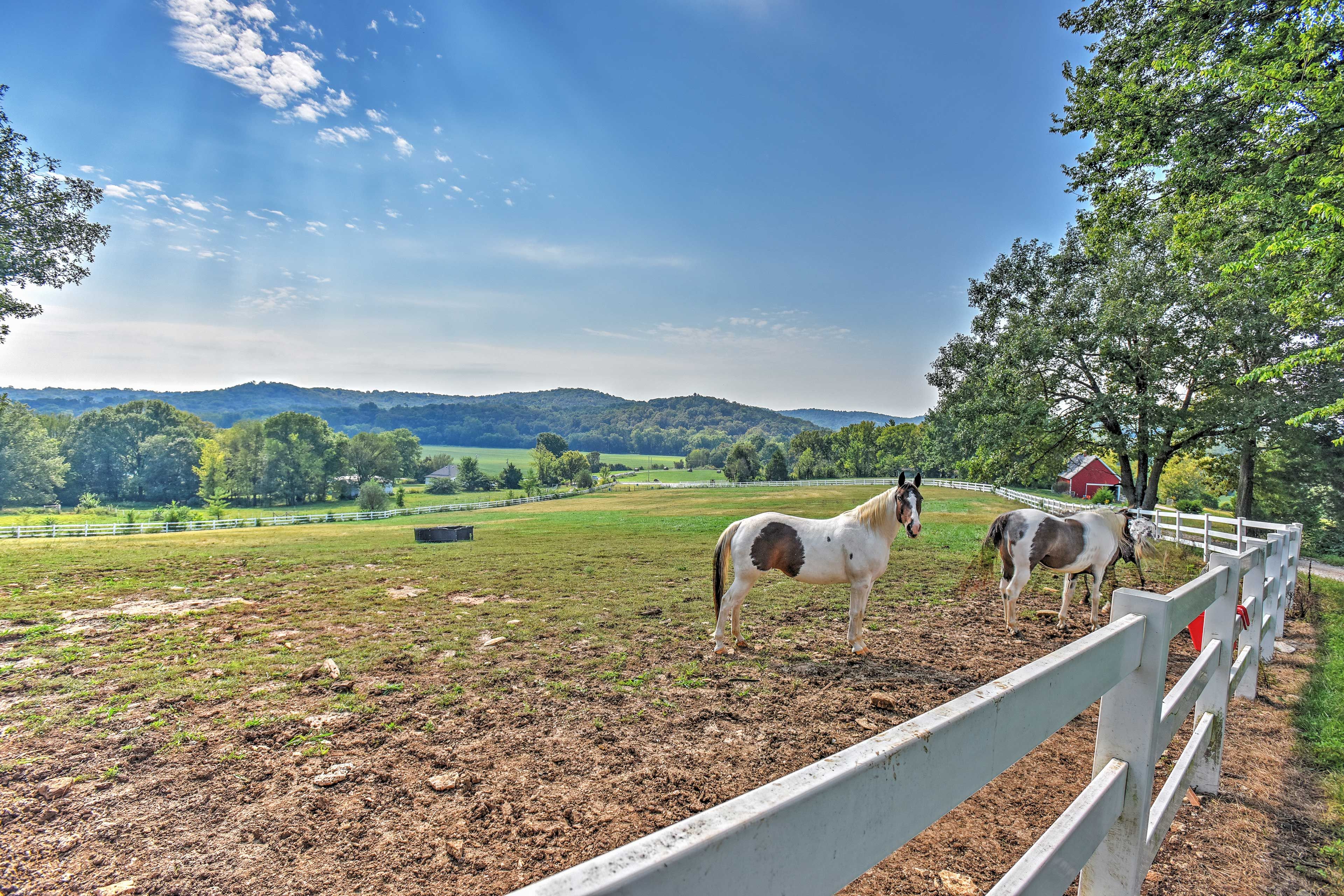 Property Views | Horses On-Site