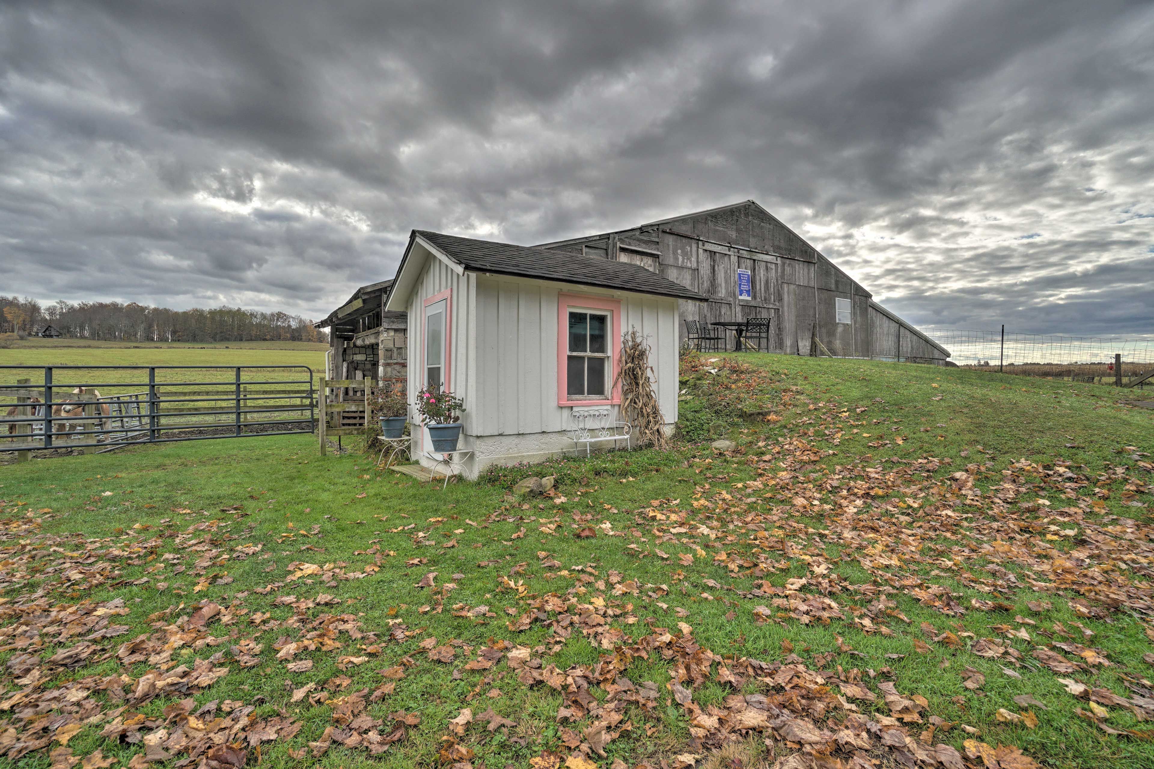 Barn Area