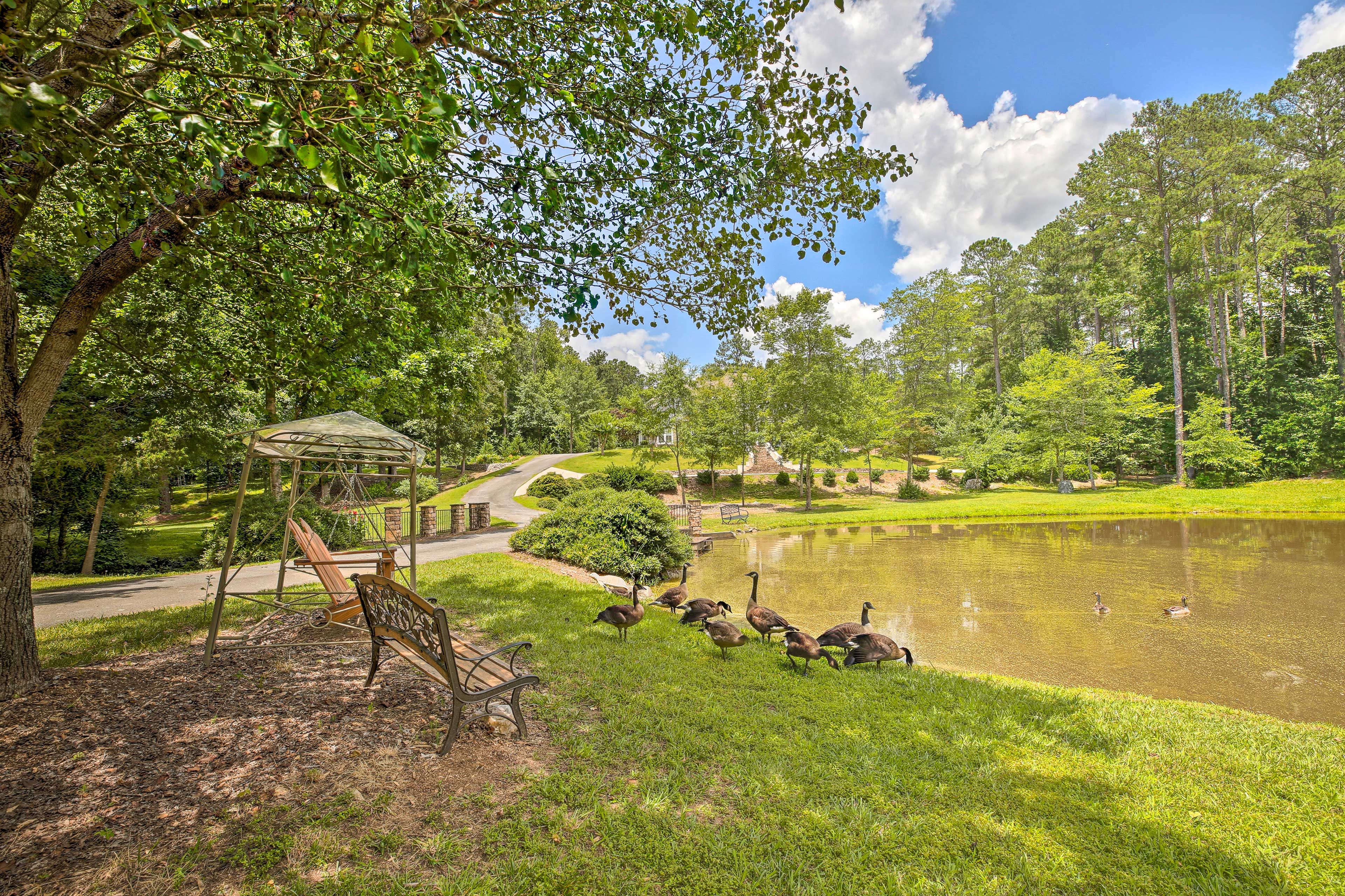 Property Exterior | On-Site Pond