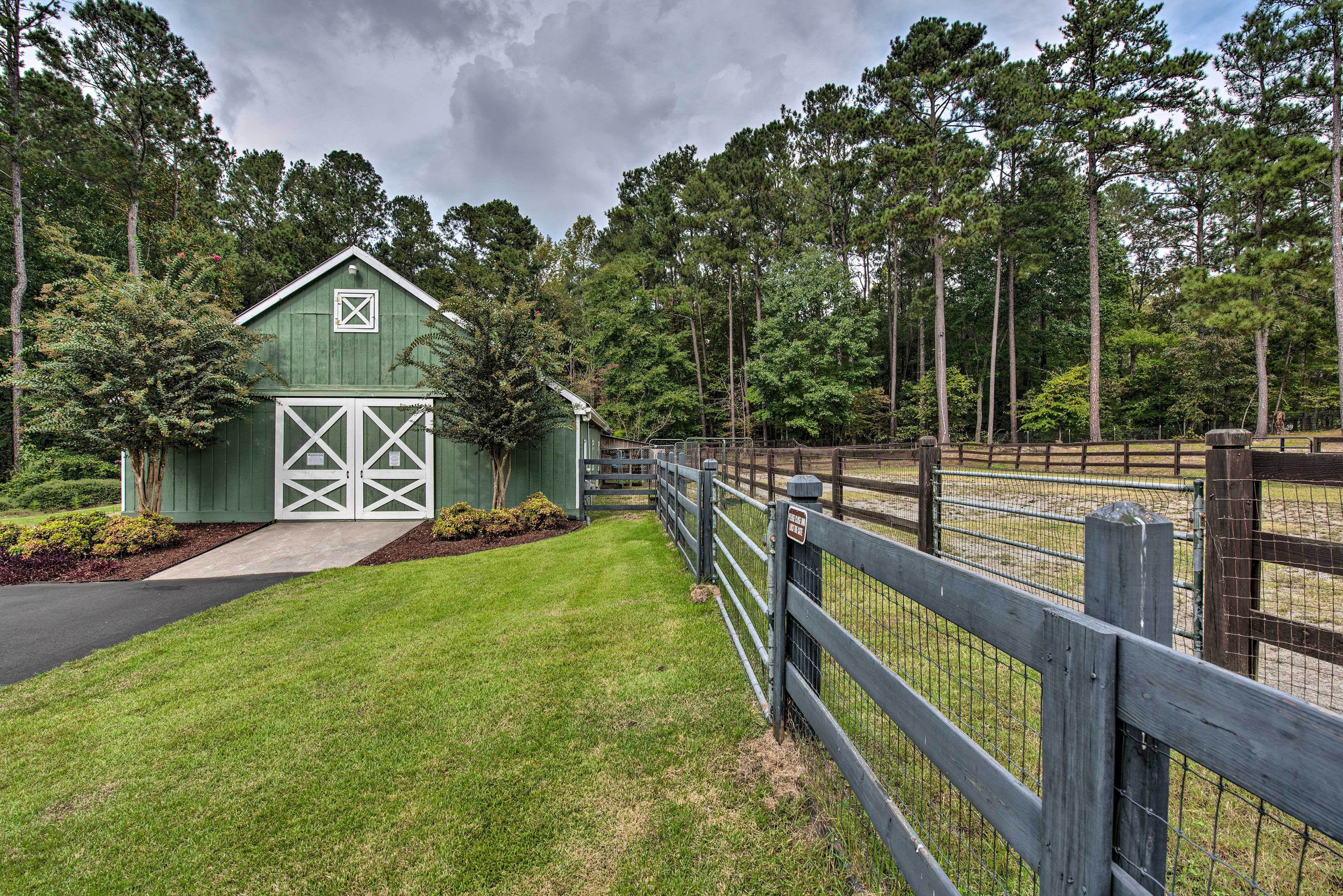 Horse Pasture