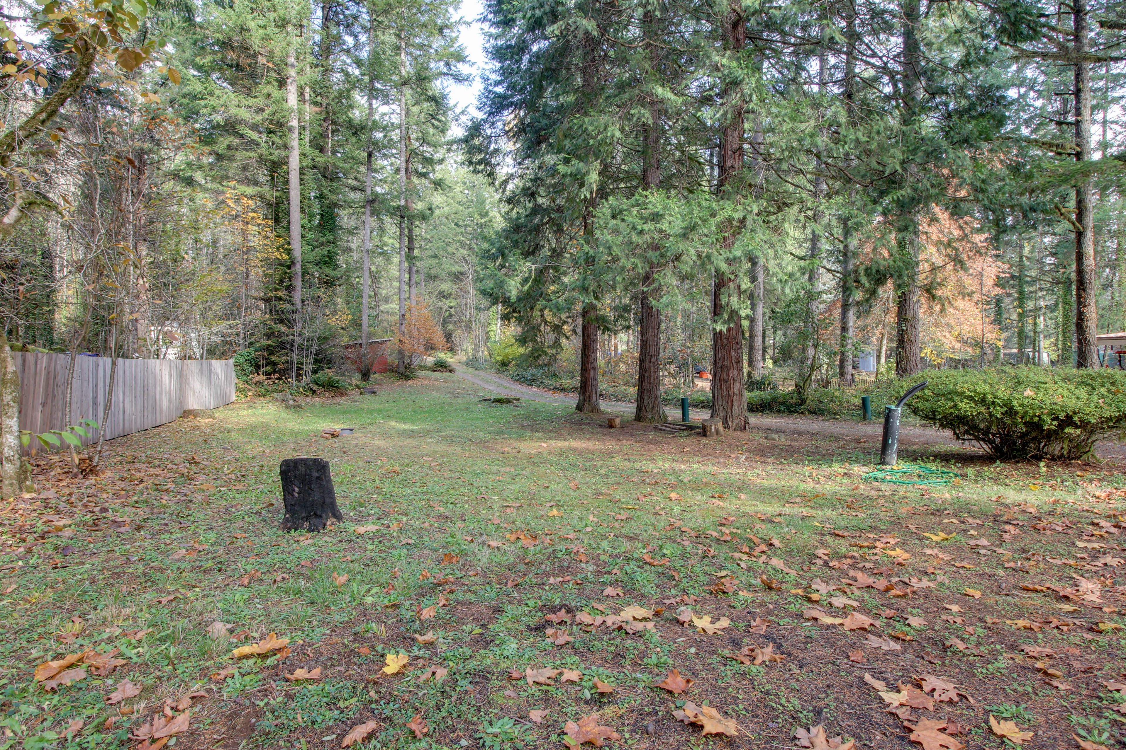 Large Yard