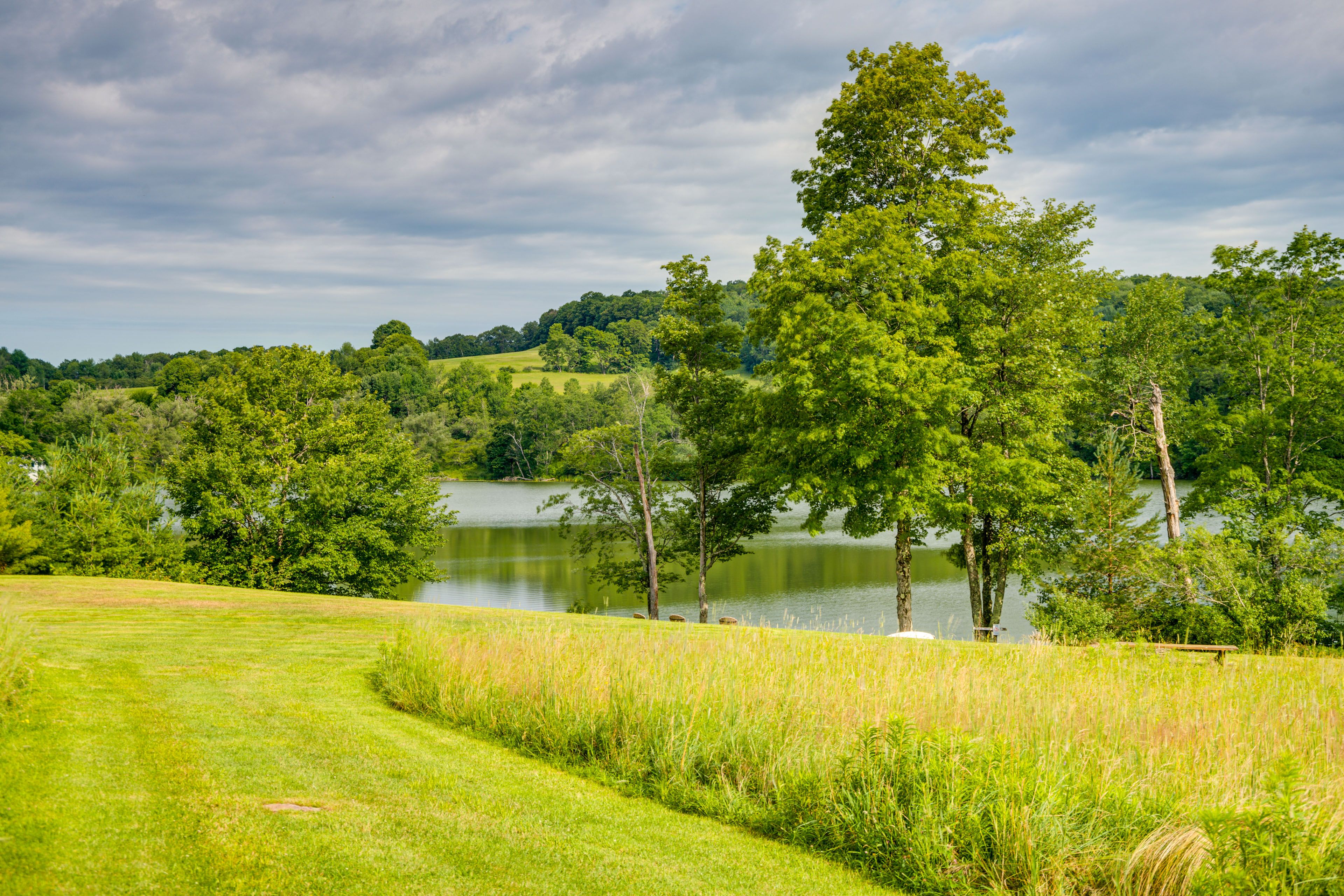 Property Views