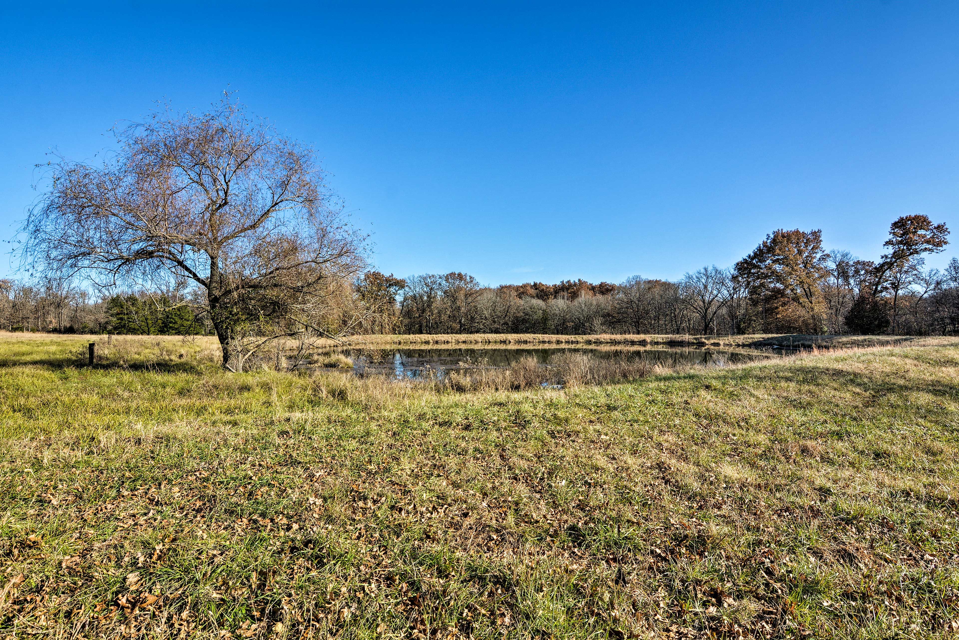 On-Site Catch-and-Release Pond