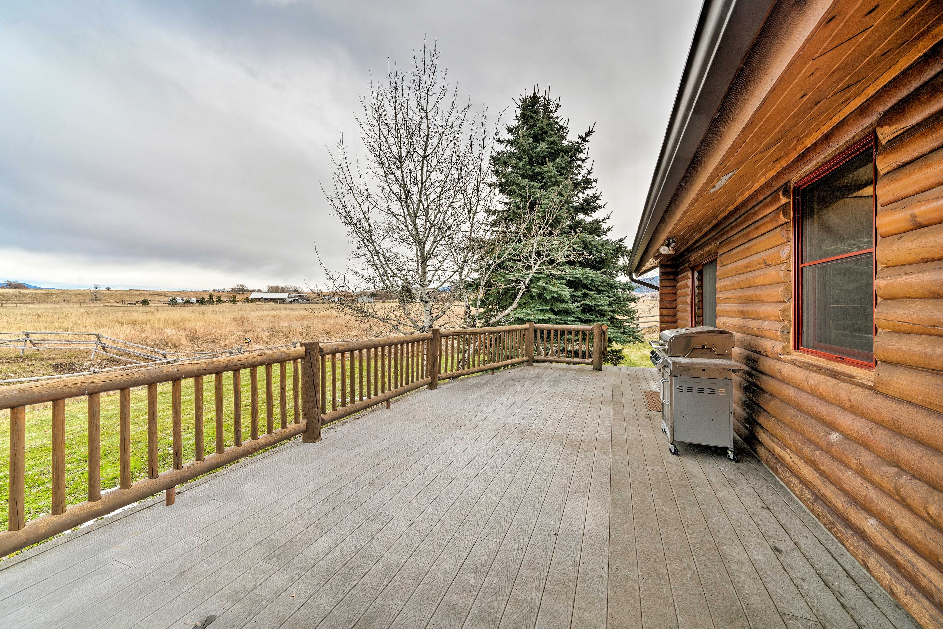 Deck | Gas Grill