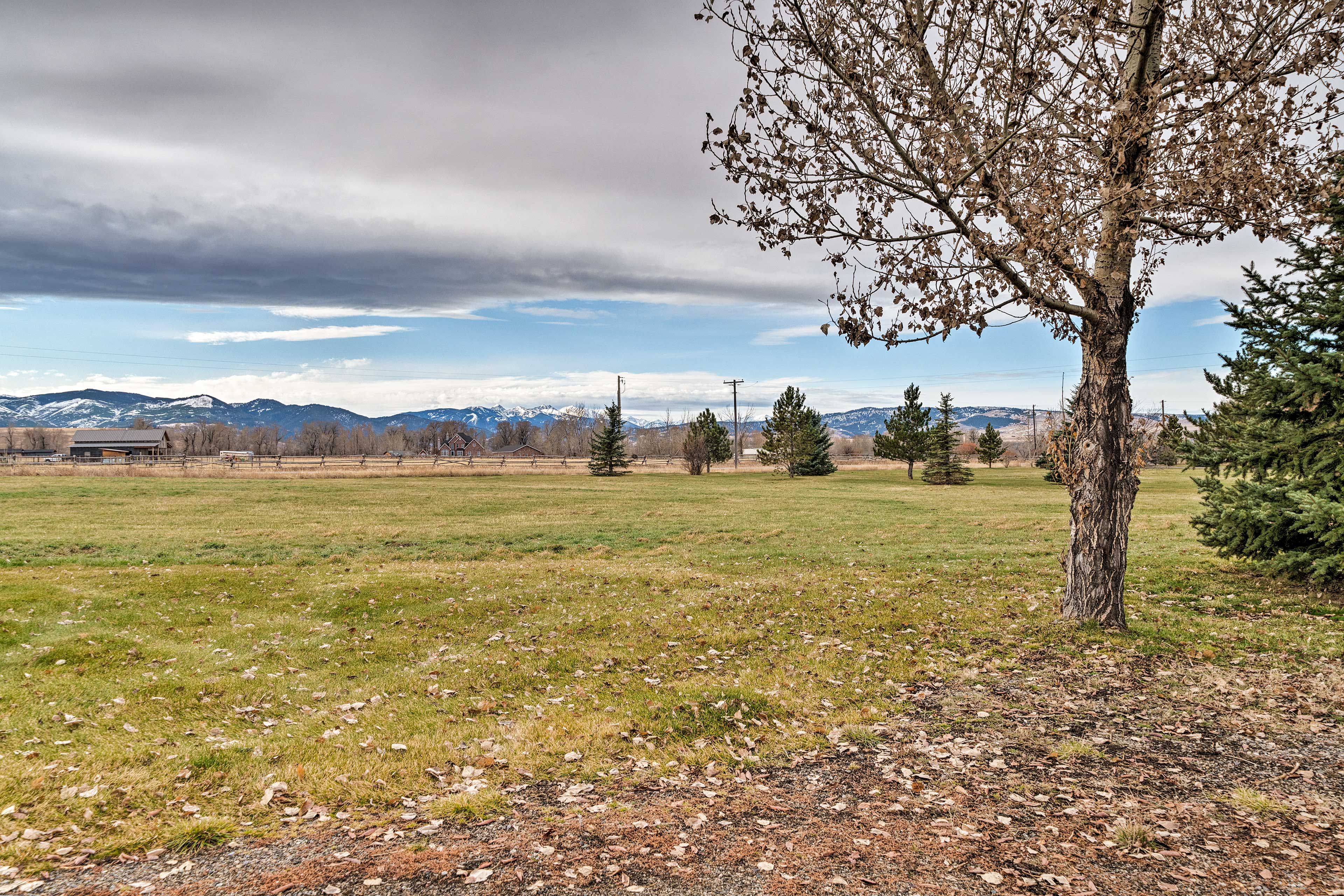 Property Views