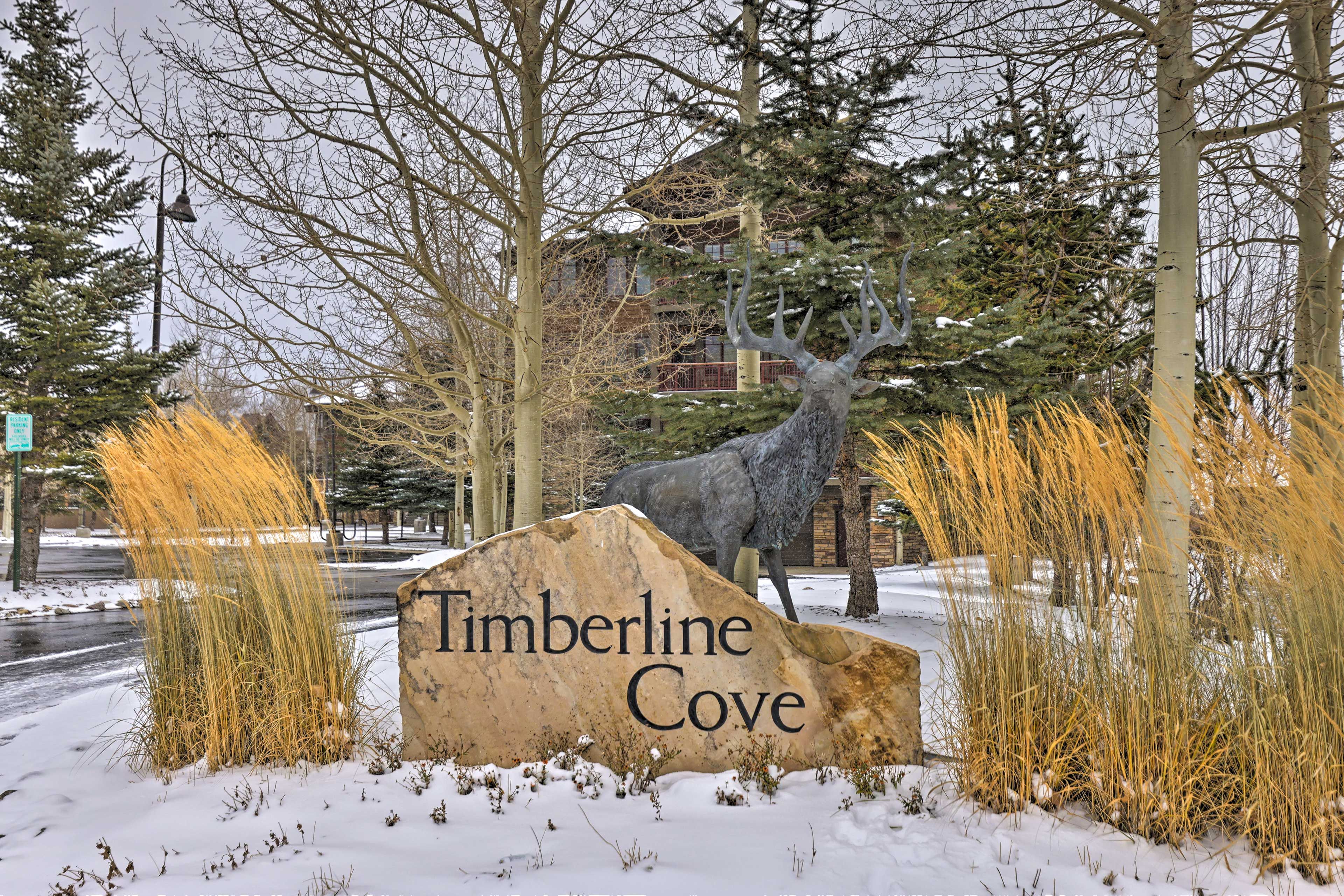 Timberline Cove