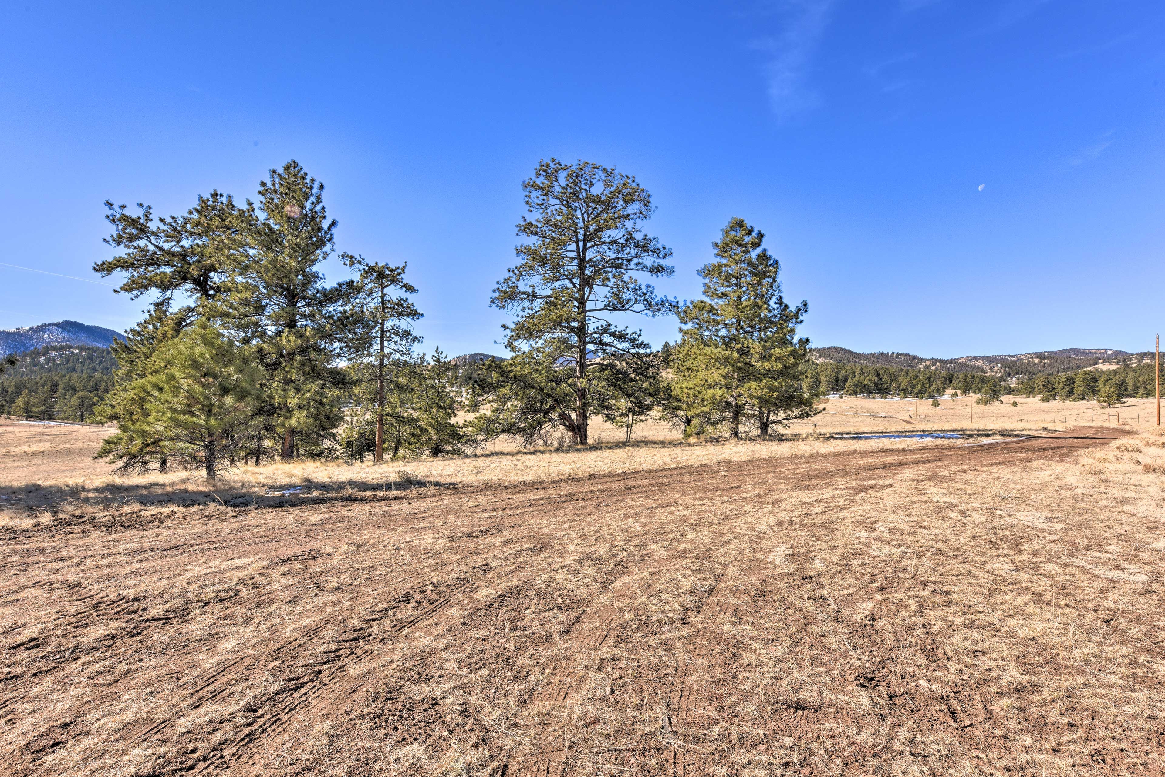 This area is ideal for hiking, fishing, hunting, ATVing, and more outdoor fun!
