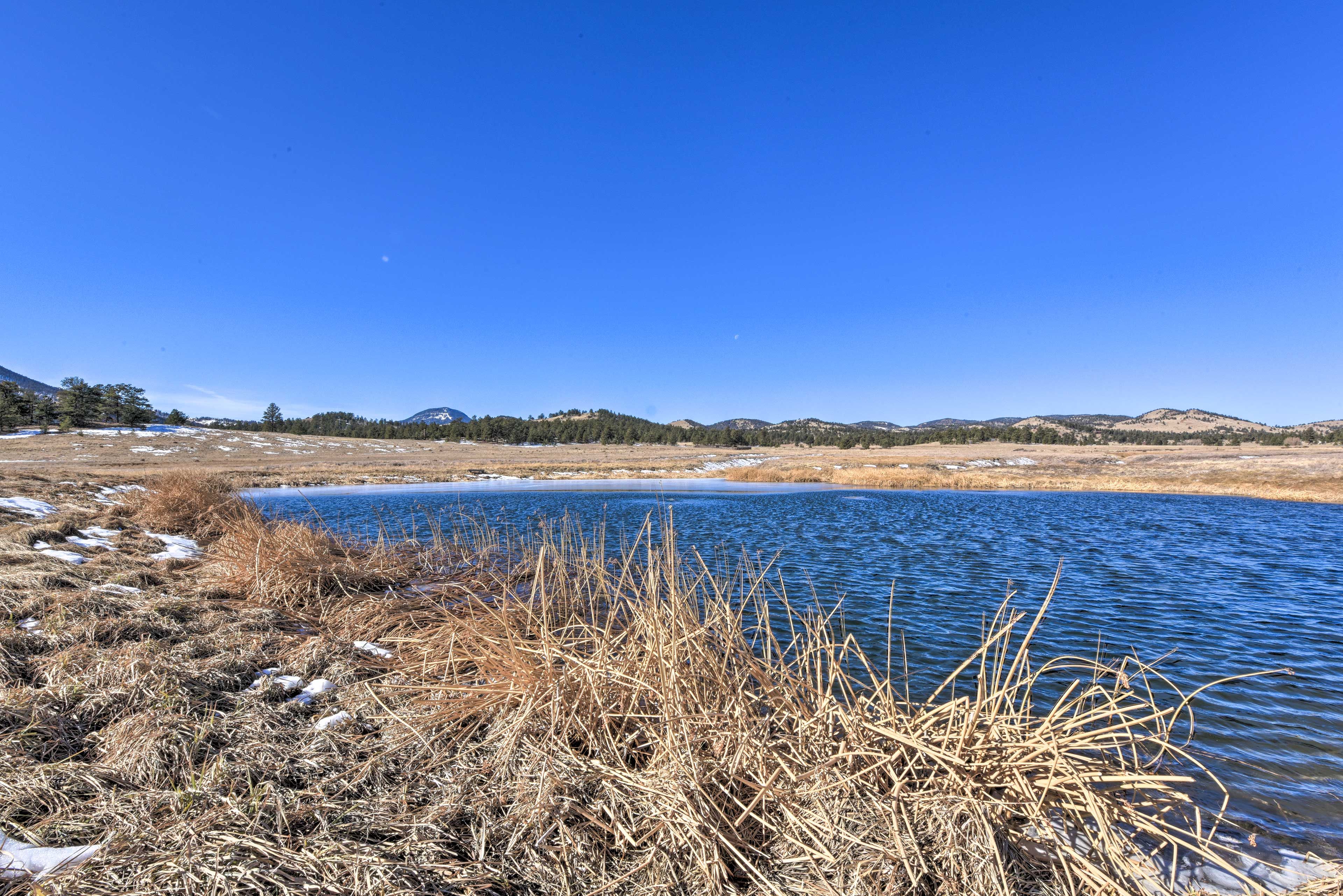 Don't forget to pack your fishing poles!