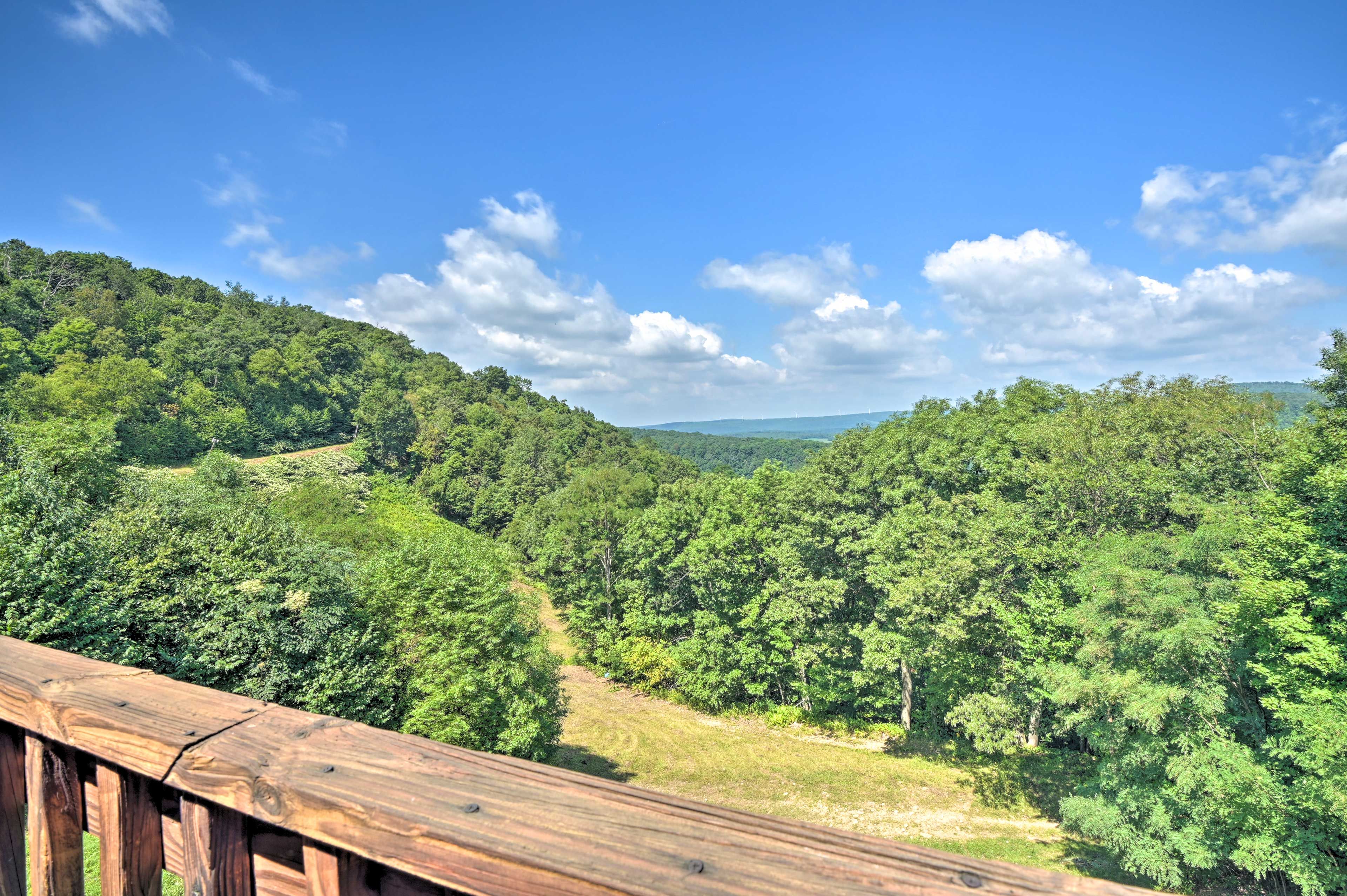 Lower Level Deck views