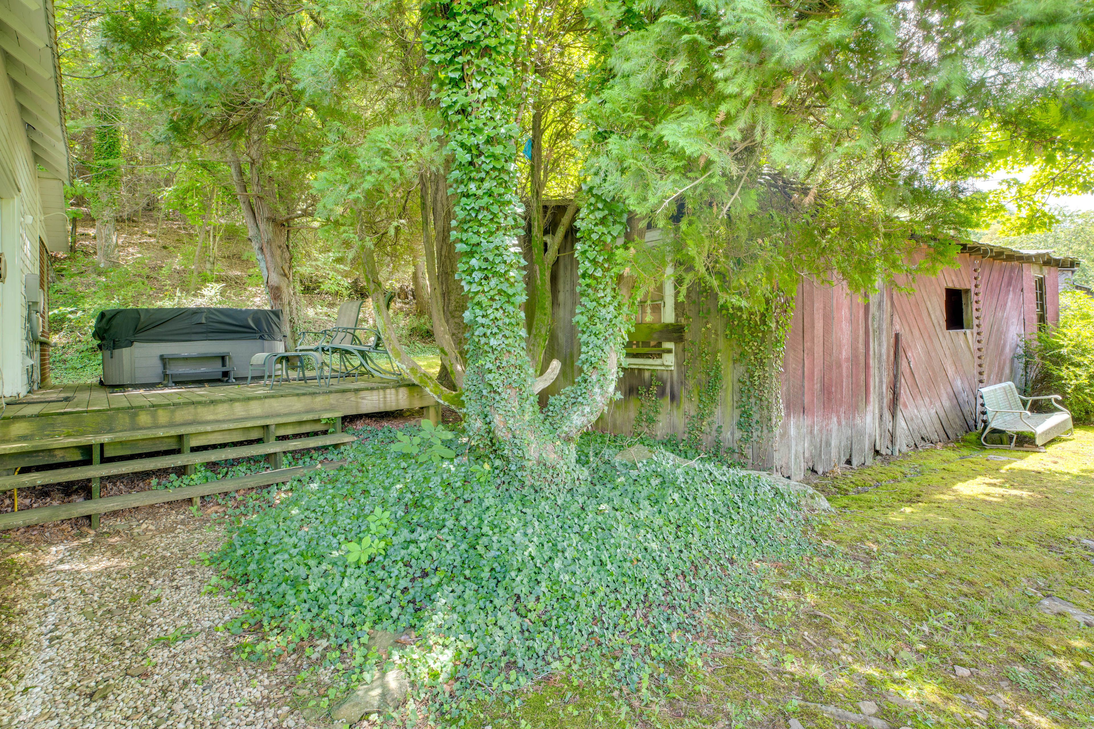 Image 38