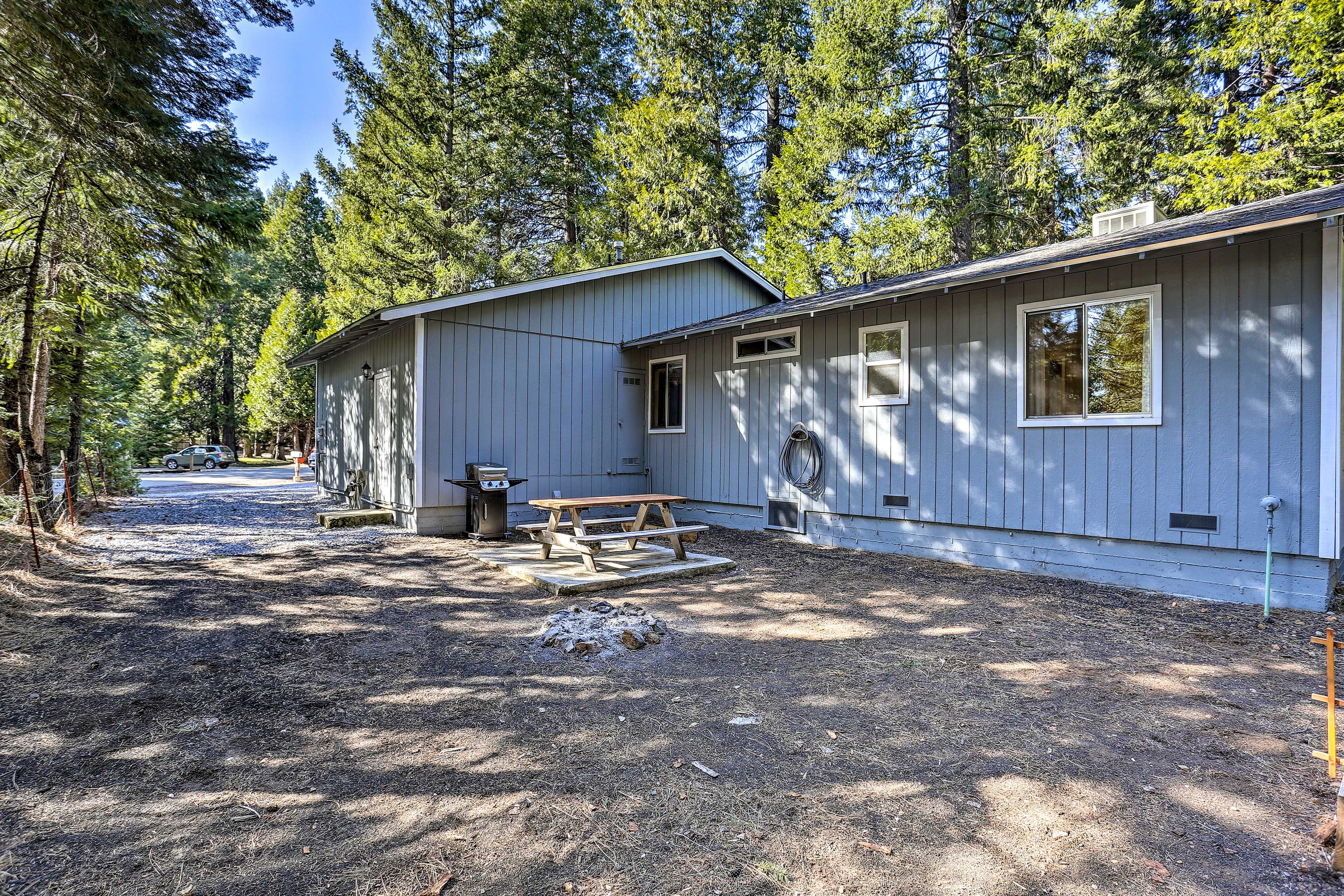 Backyard | Gas Grill