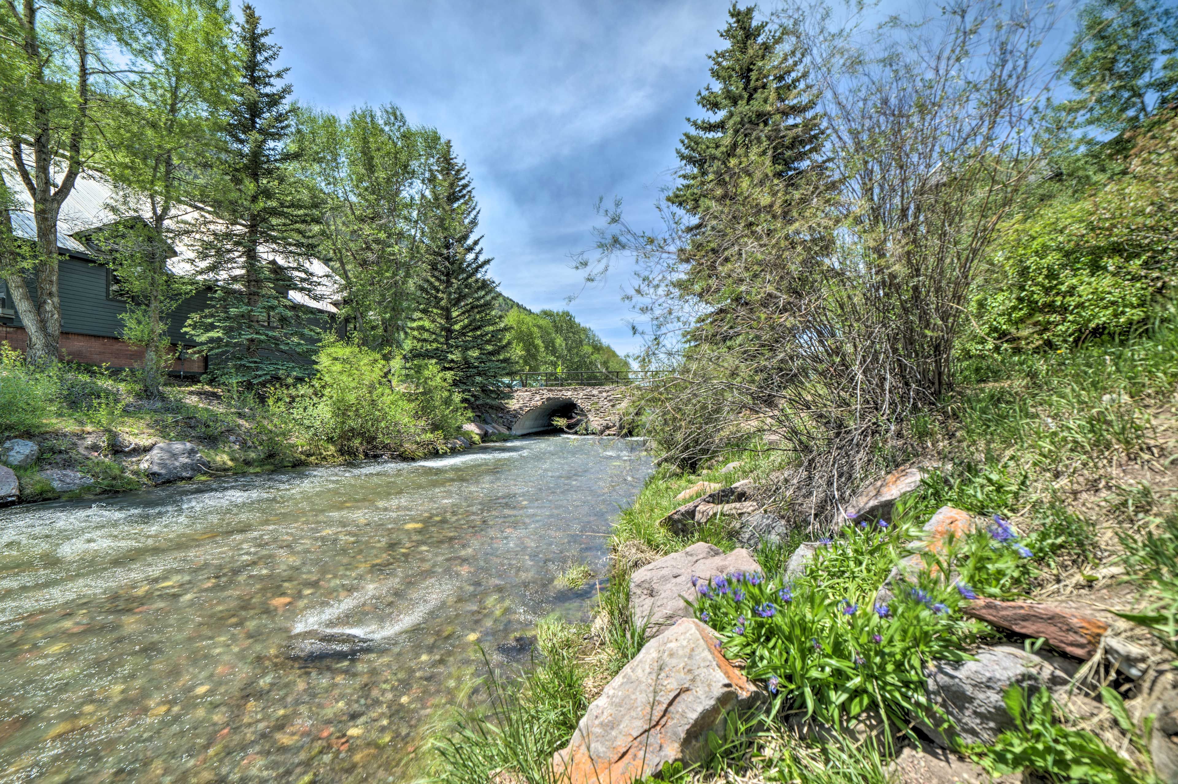 Image 33