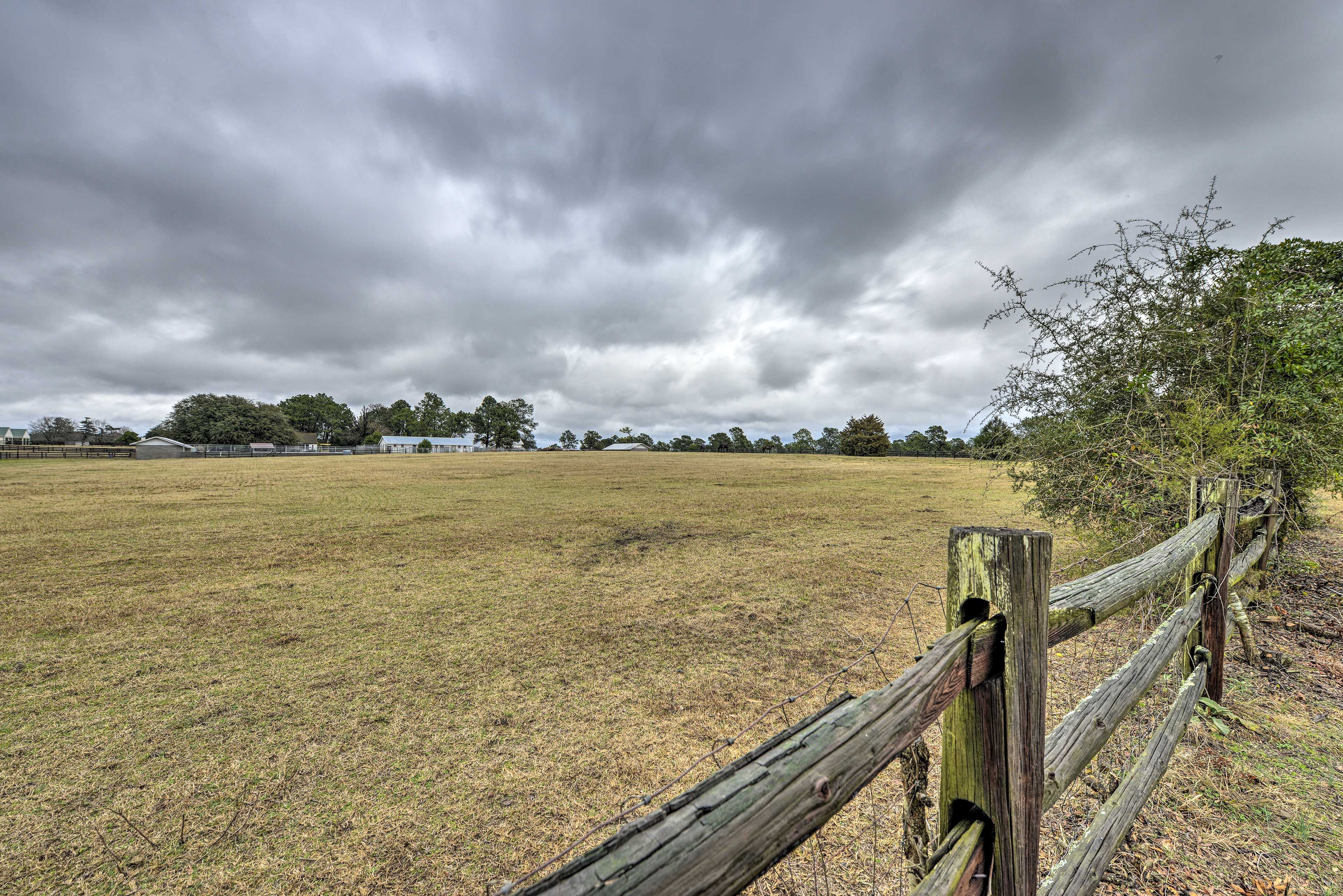 Walk through the pasture and admire the scenery.