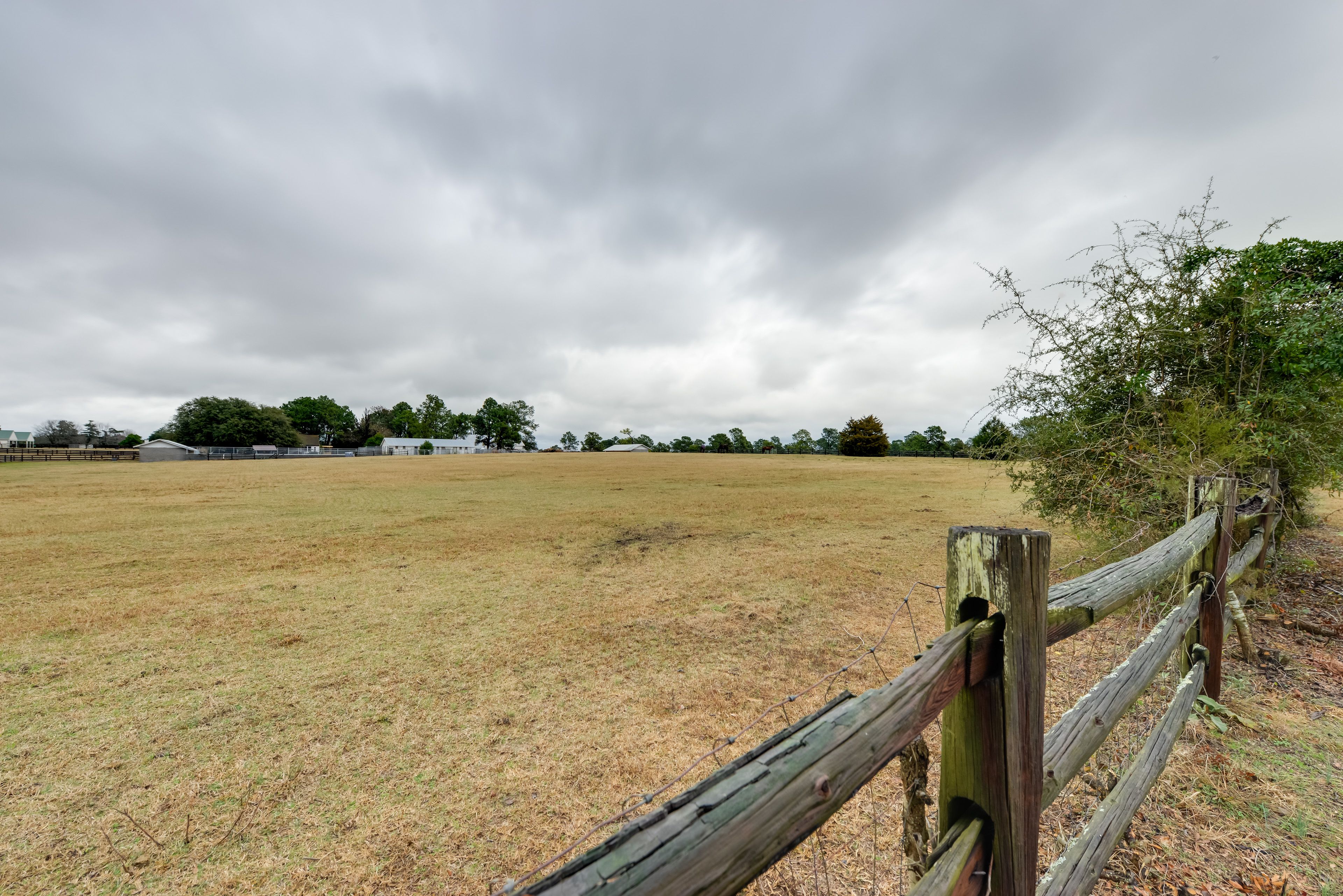 Walk through the pasture and admire the scenery.
