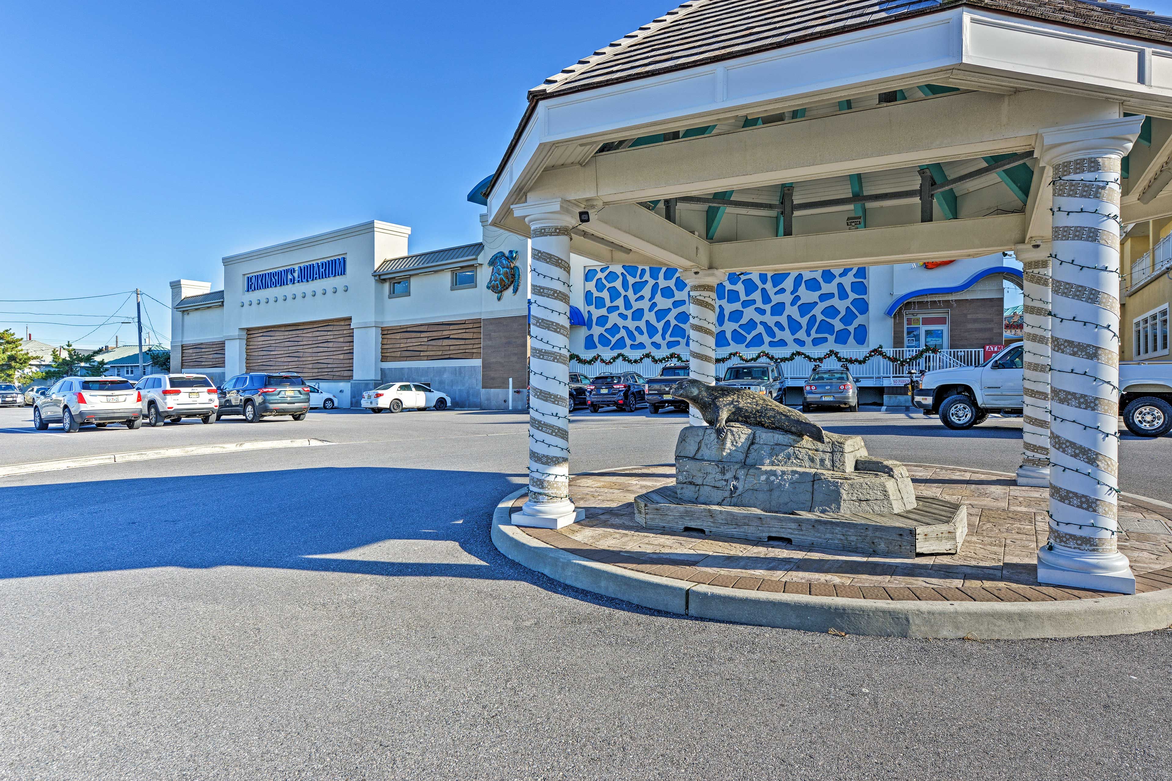 Spend your days with the marine life at Jenkinson's Aquarium.