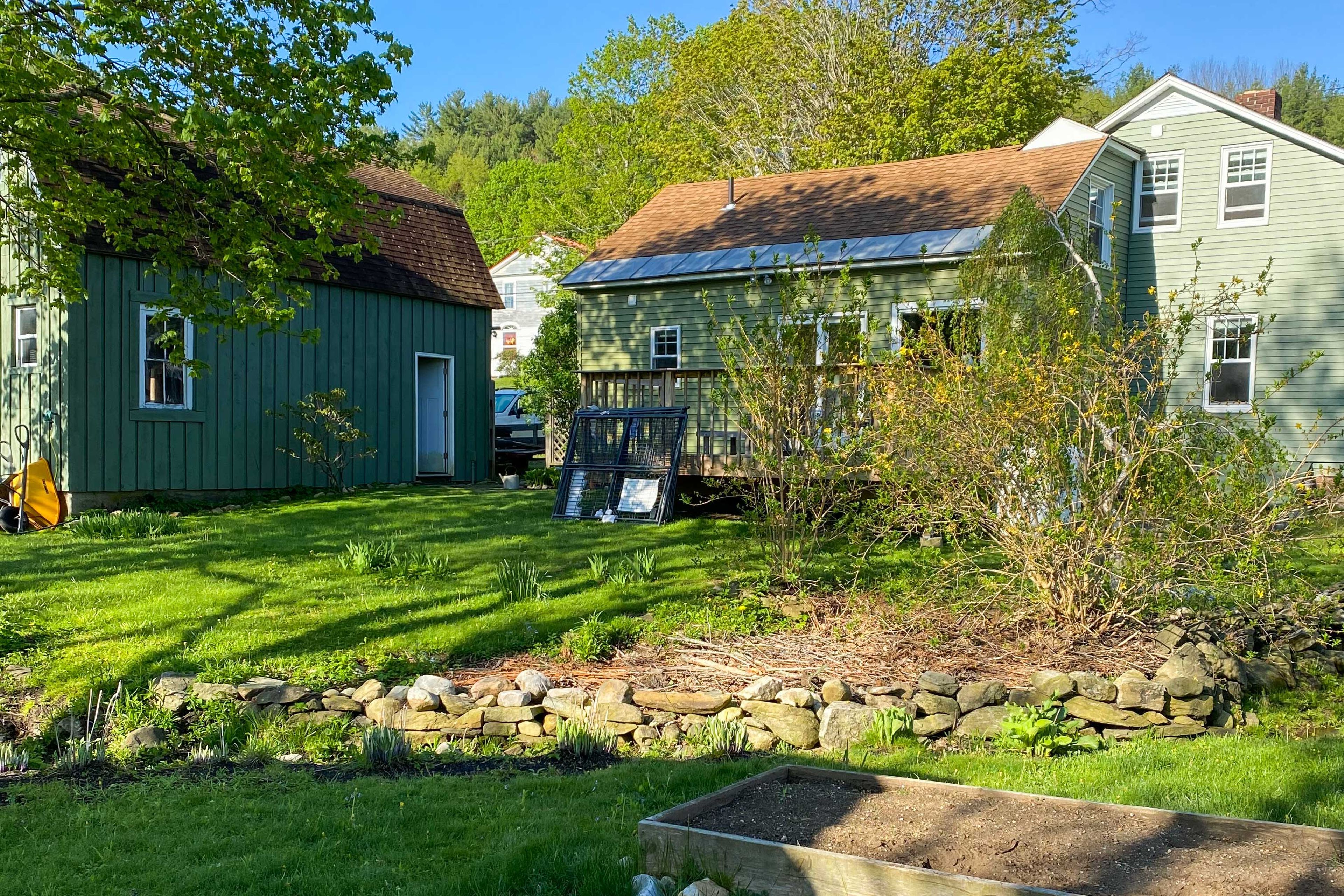 Backyard