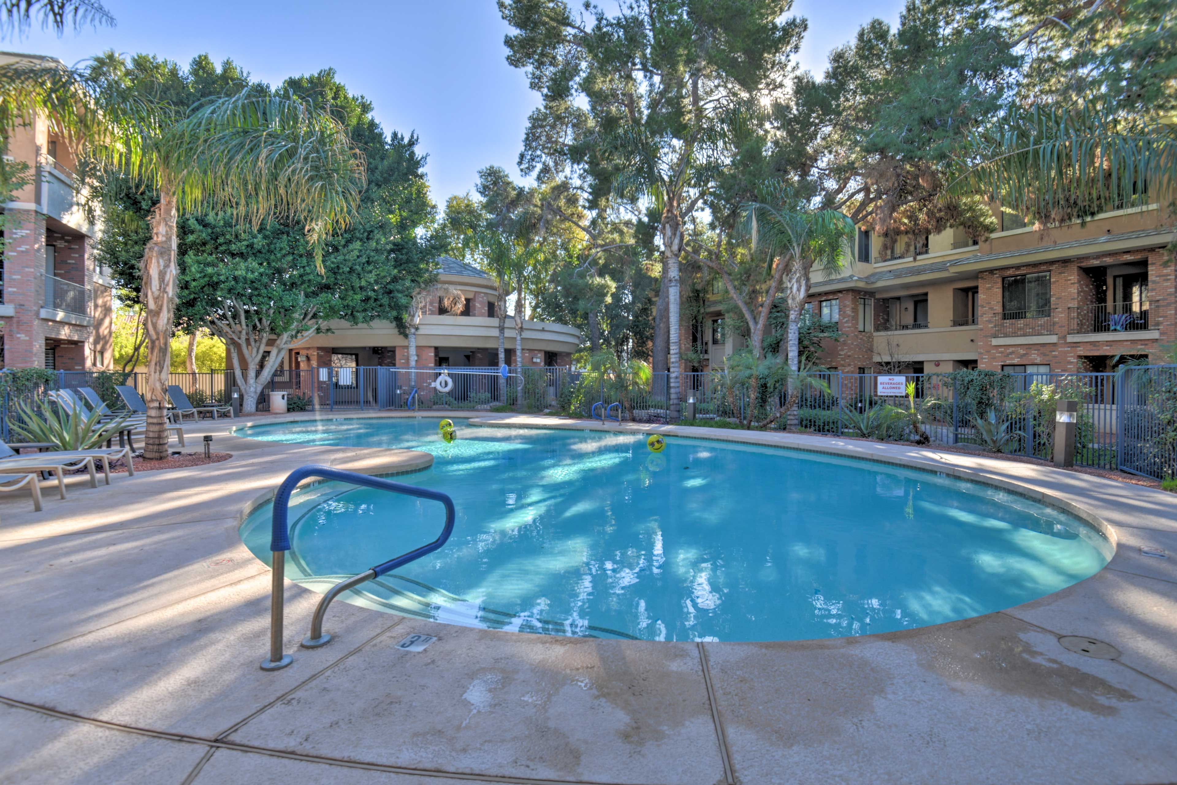Hop in the pool, the water's great!