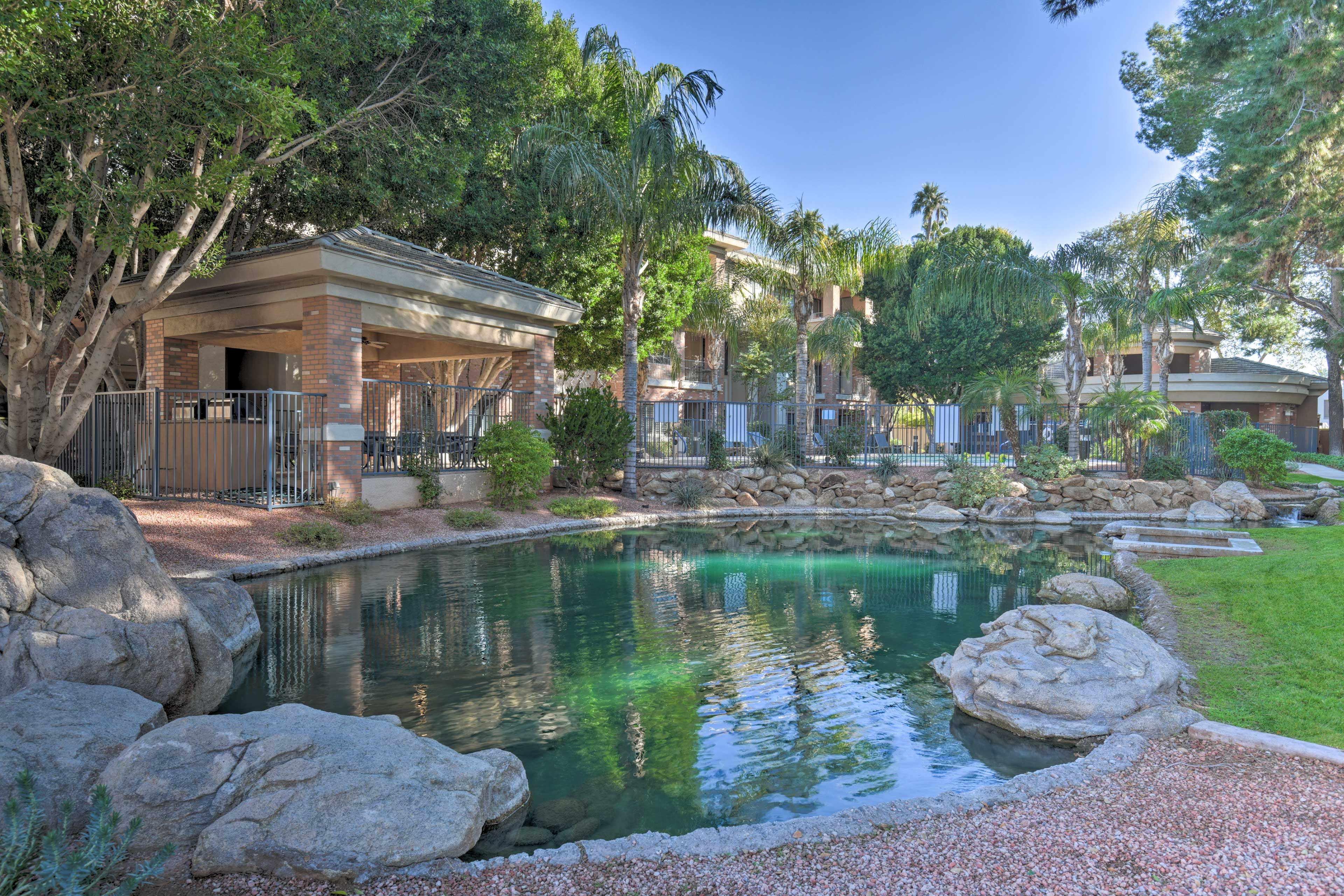 Walk around the property and check out the pond.