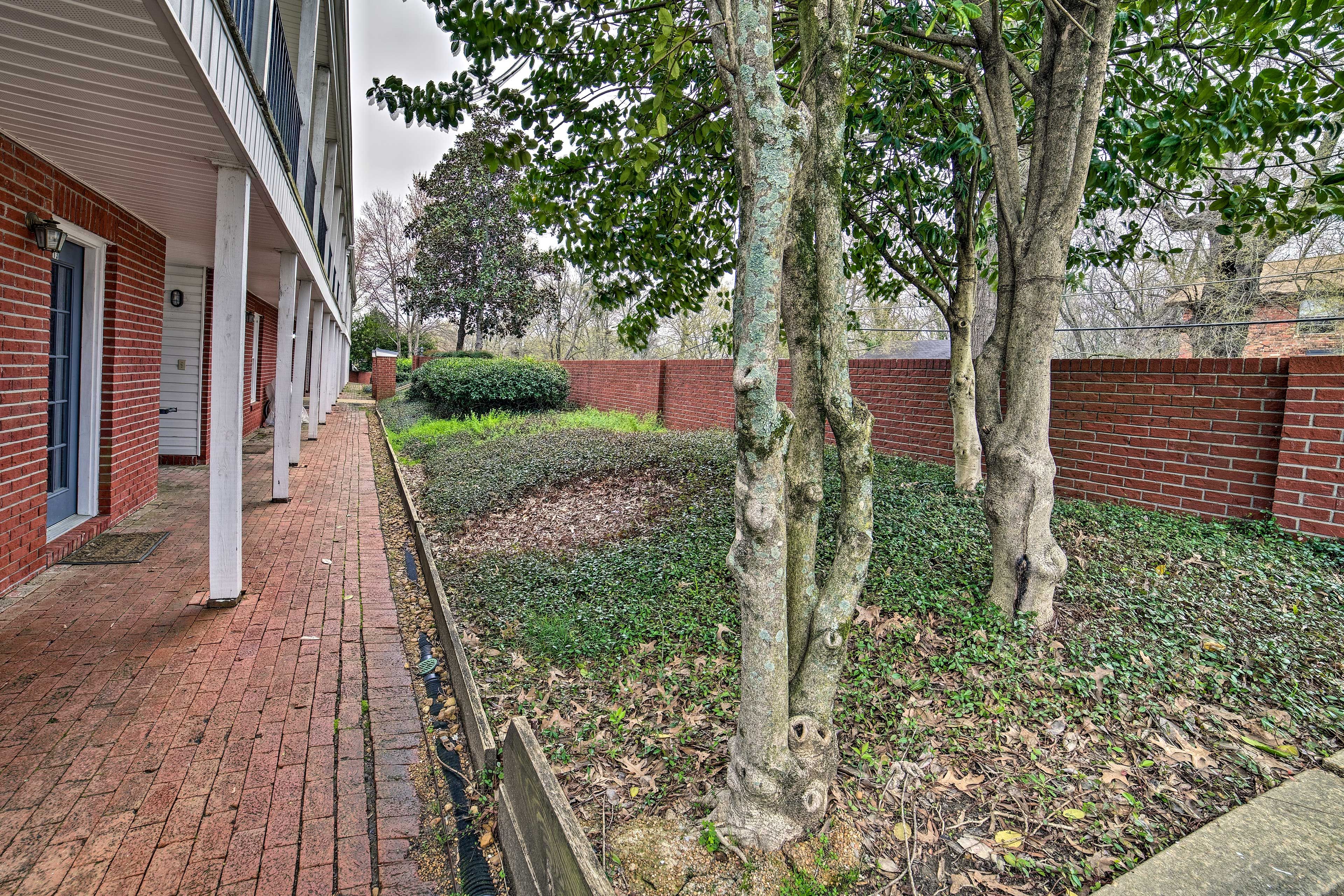 Image 20