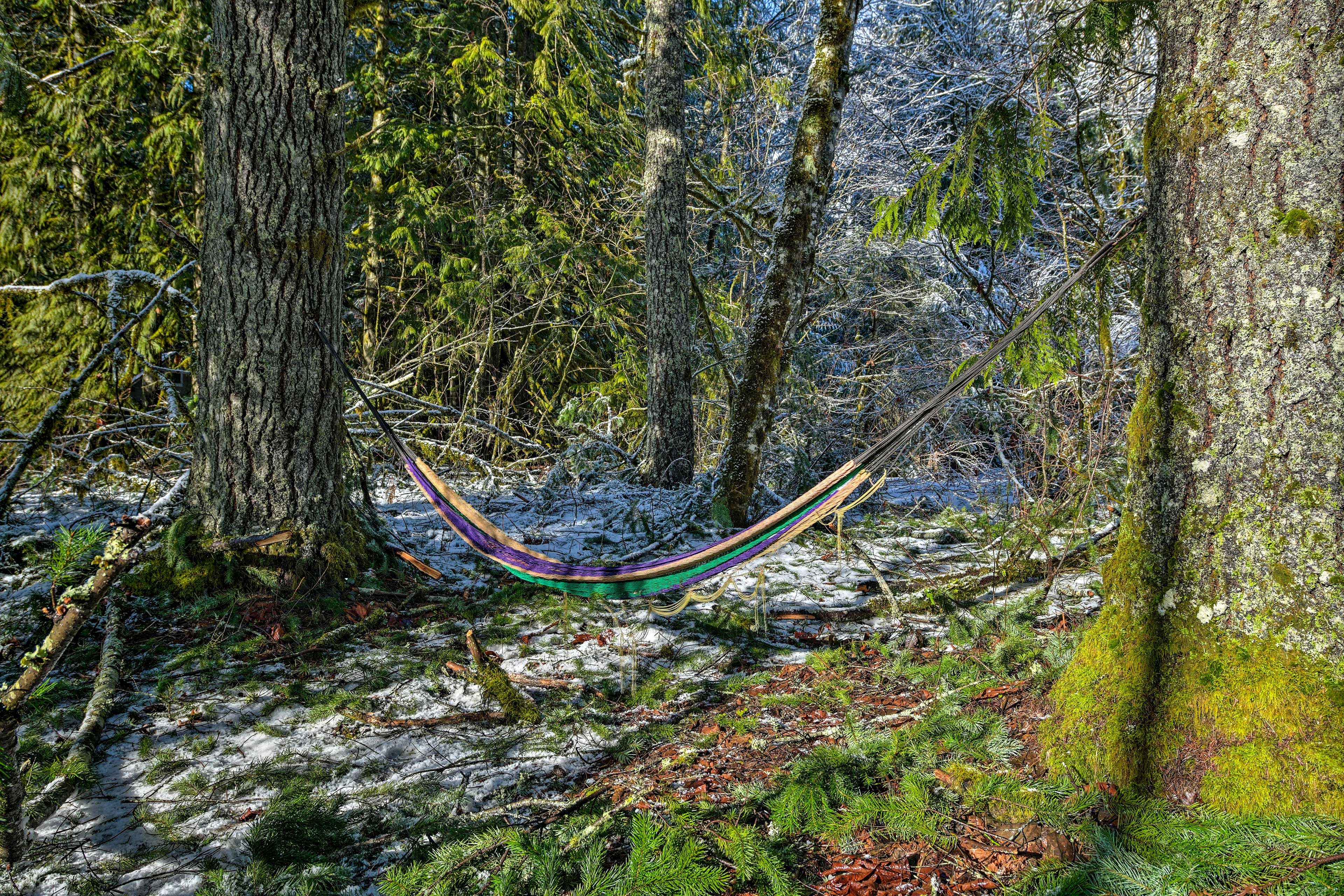 Riverside Hammock