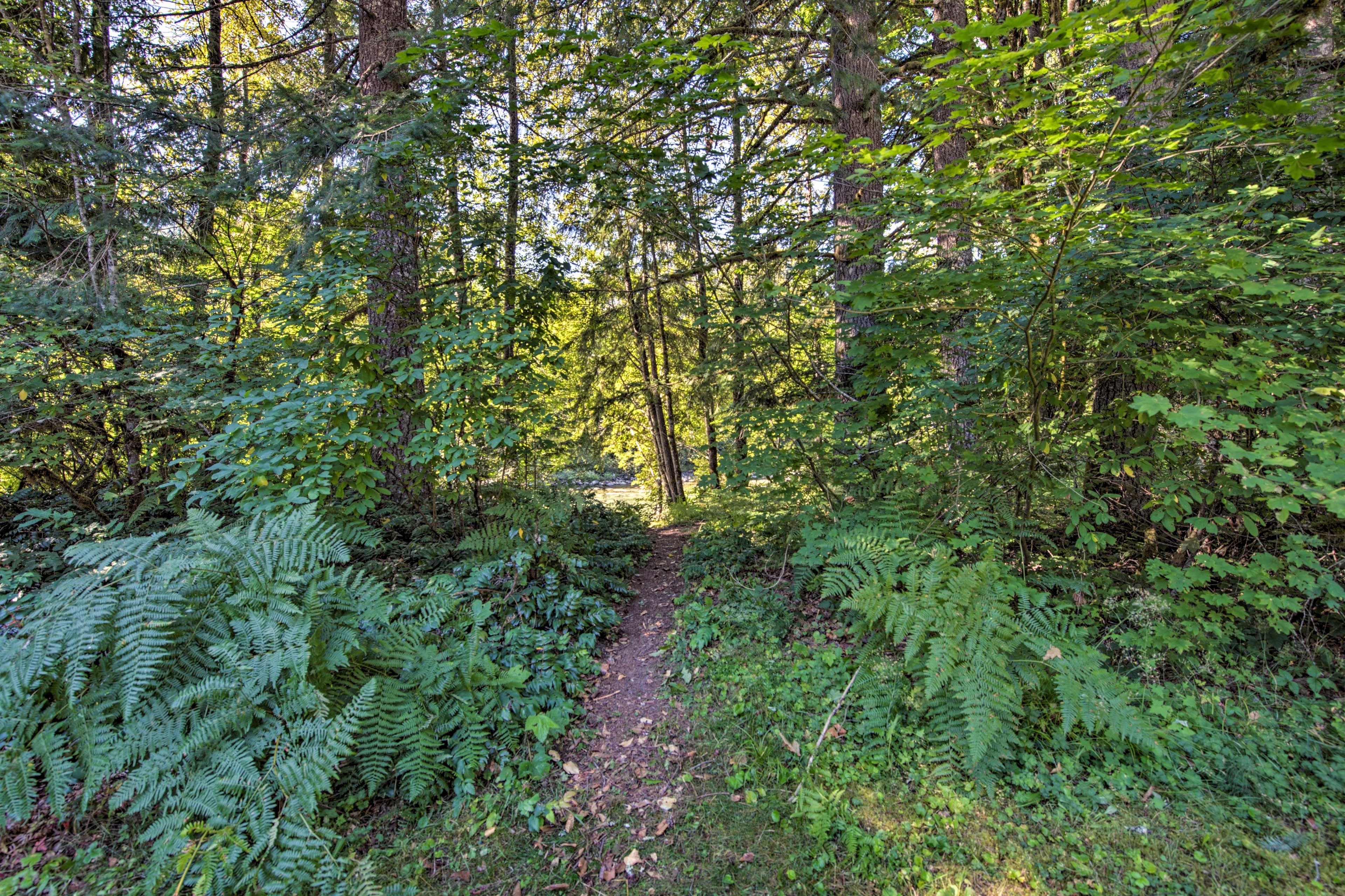 Hiking Trails Nearby