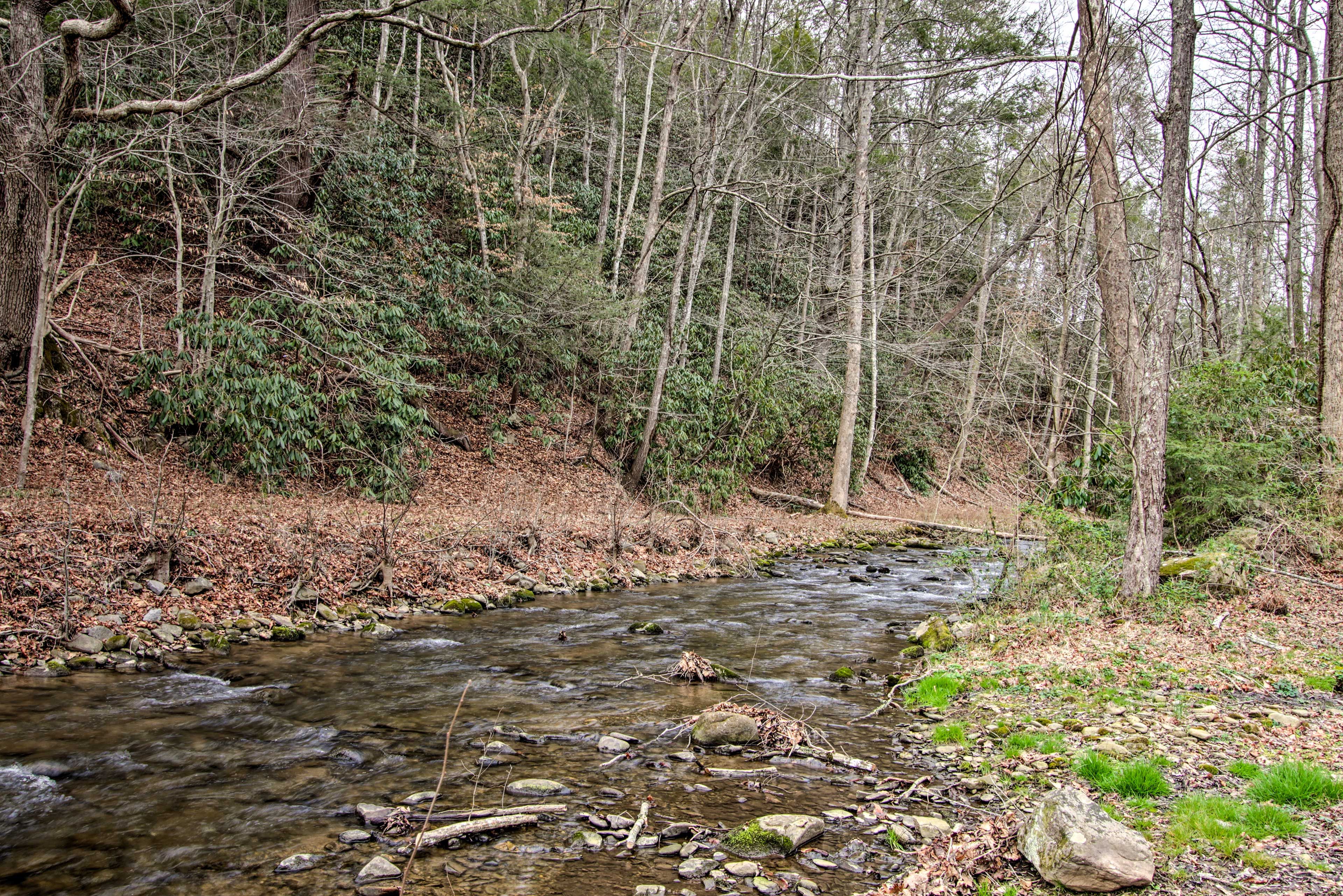 Image 35