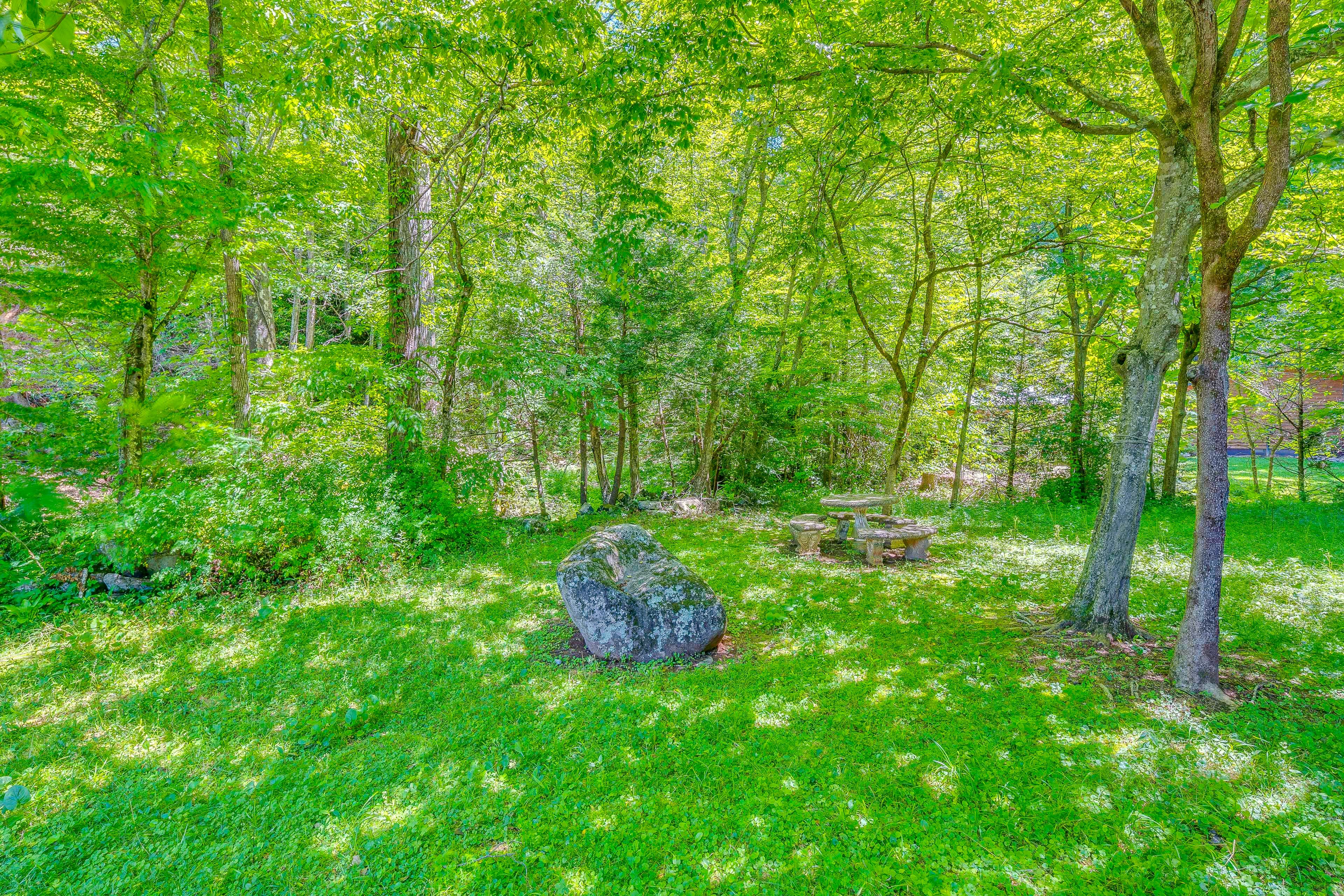 Image 46