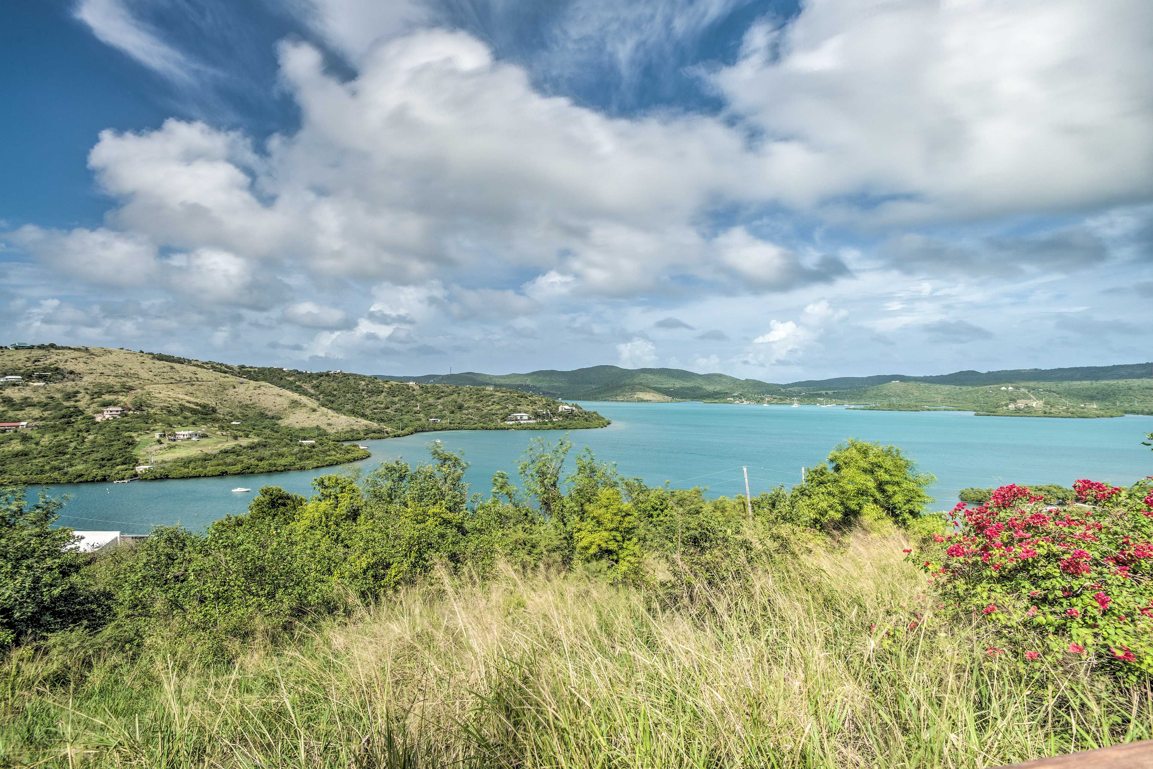 Property Views