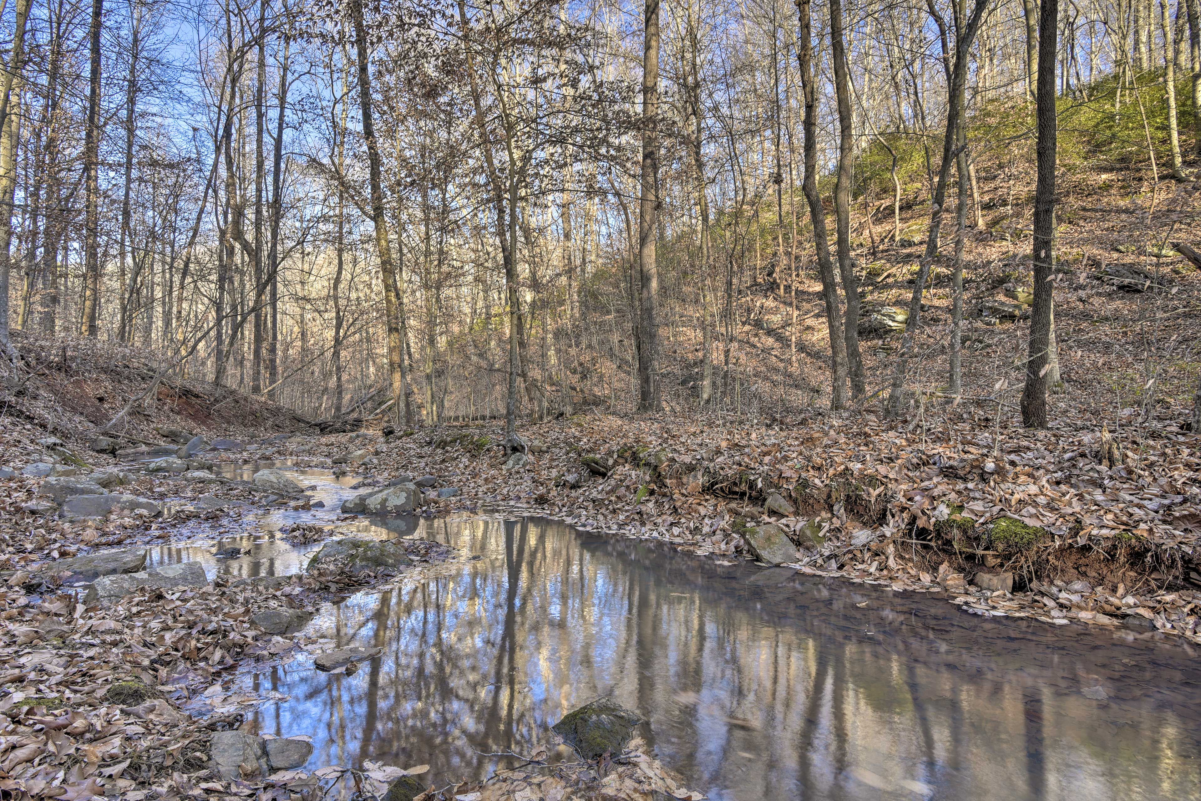 Walk to Creek