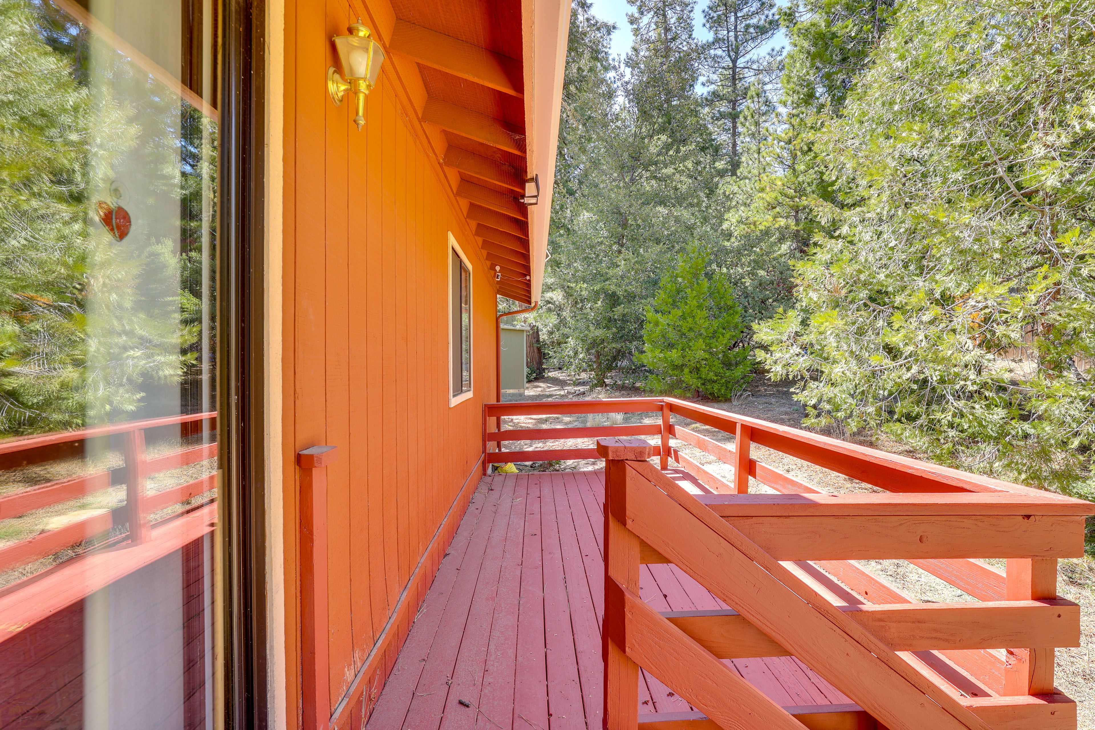 Viewing Deck | Forest Views