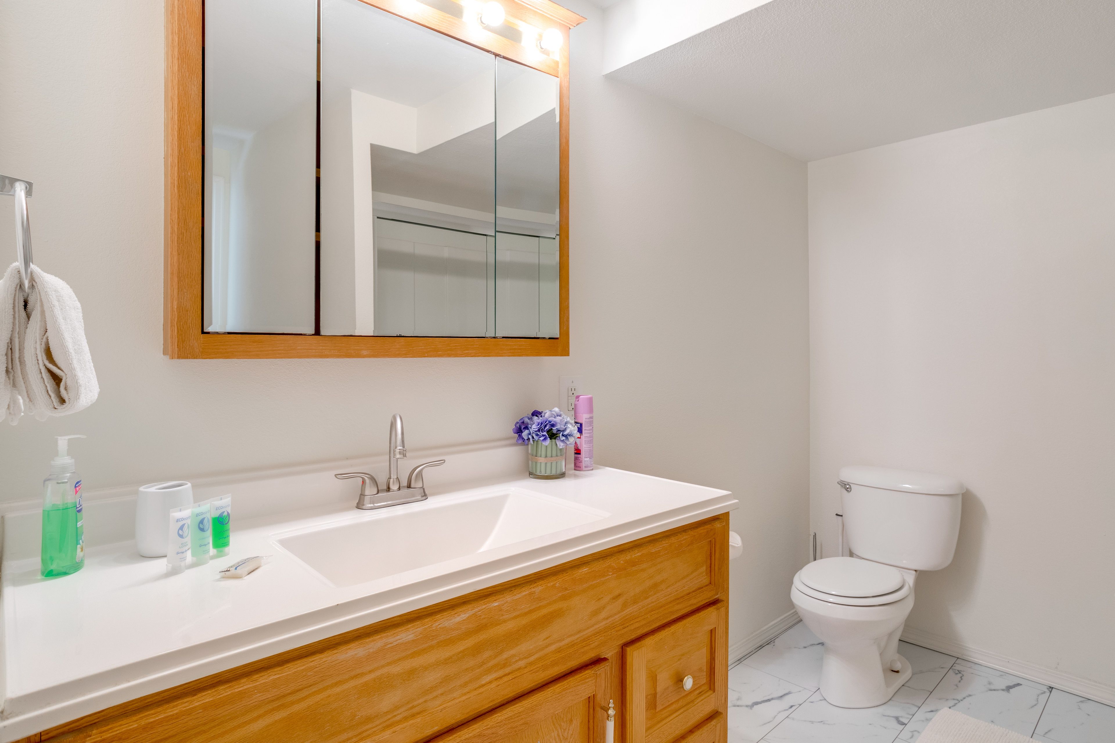 Bathroom | Basement Apartment