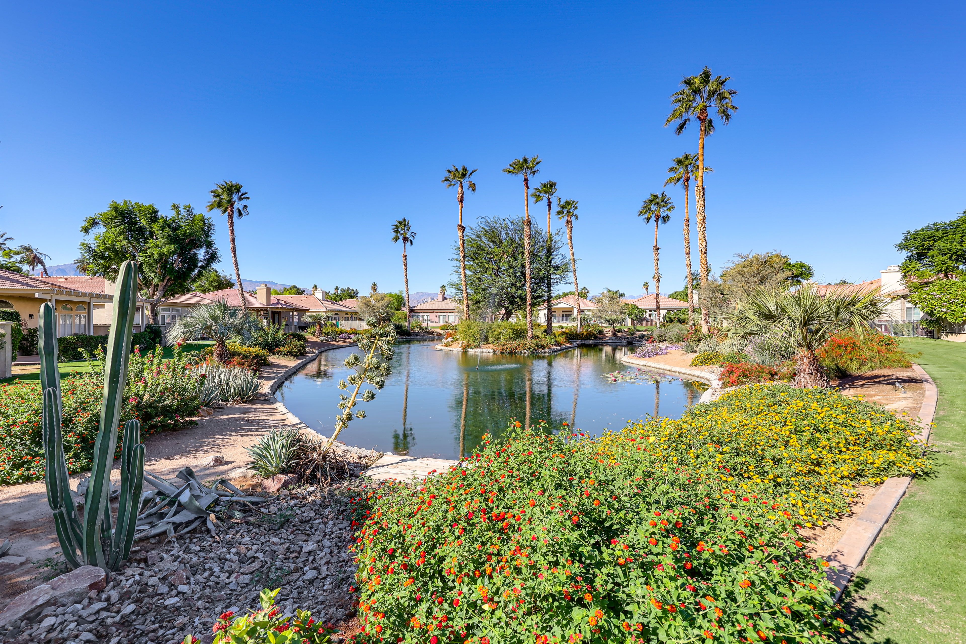 Surrounding Views | Indian Palms Country Club