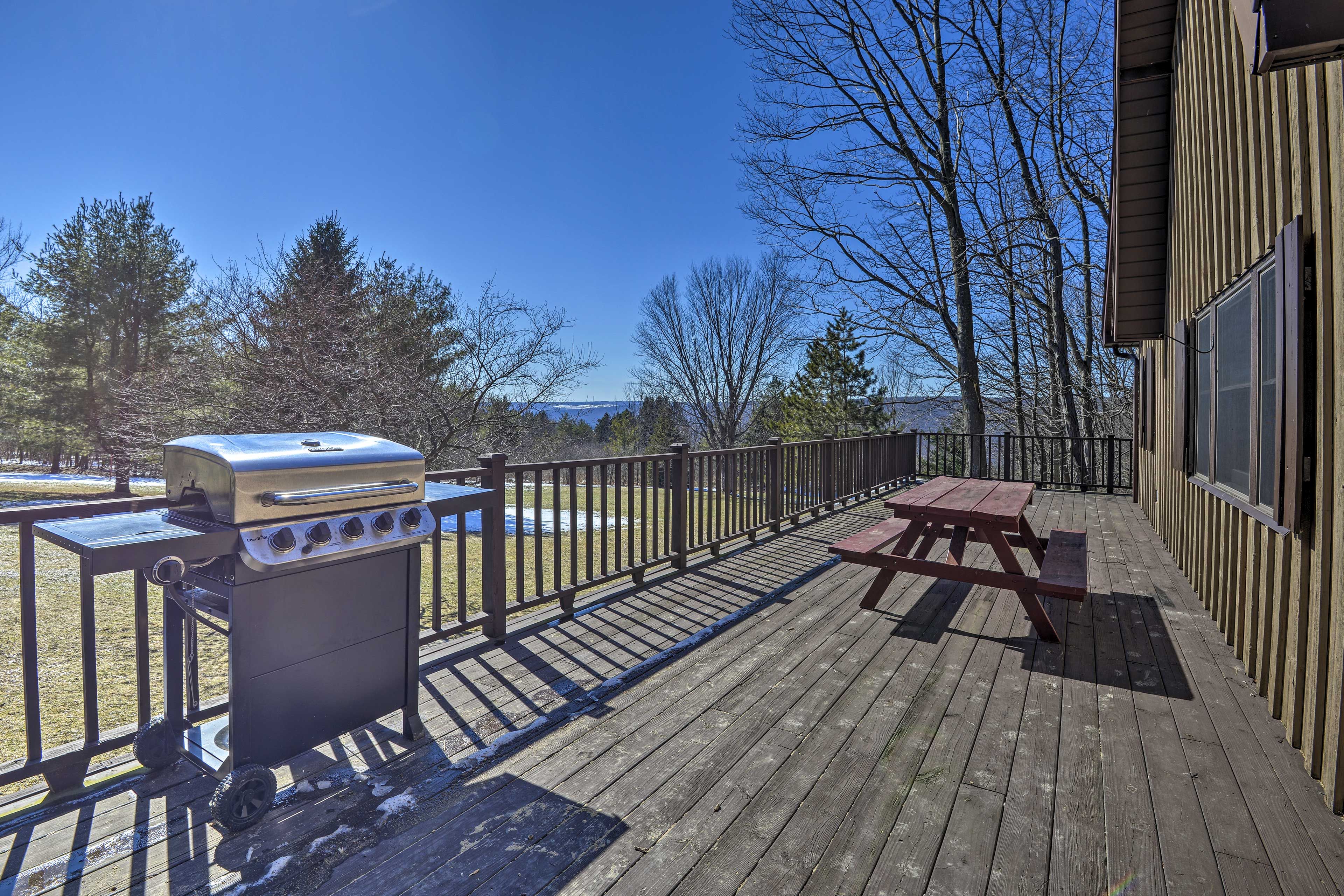 Deck | Gas Grill | Picnic Table