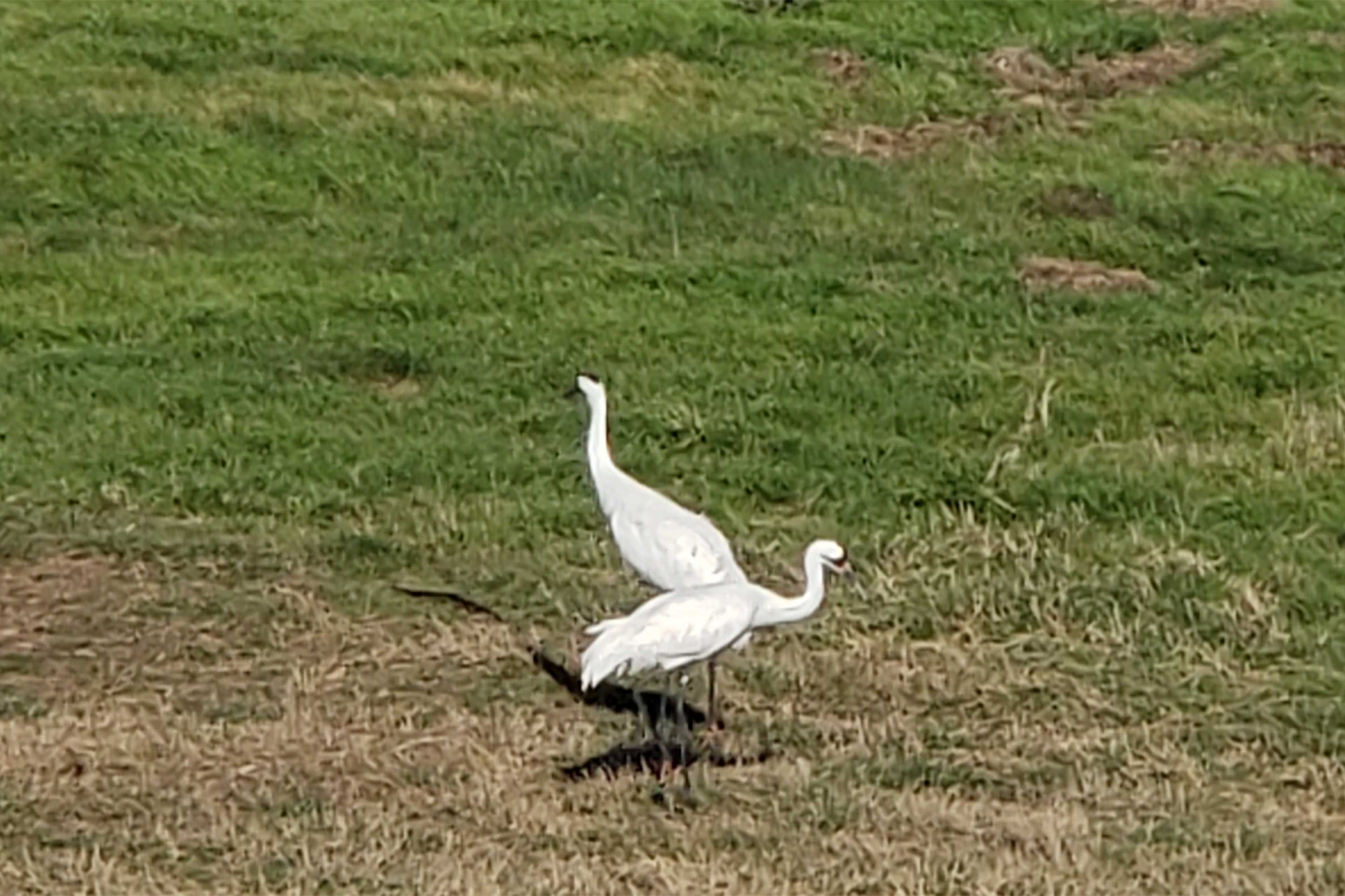 See how many different types of birds you can spot during your stay!