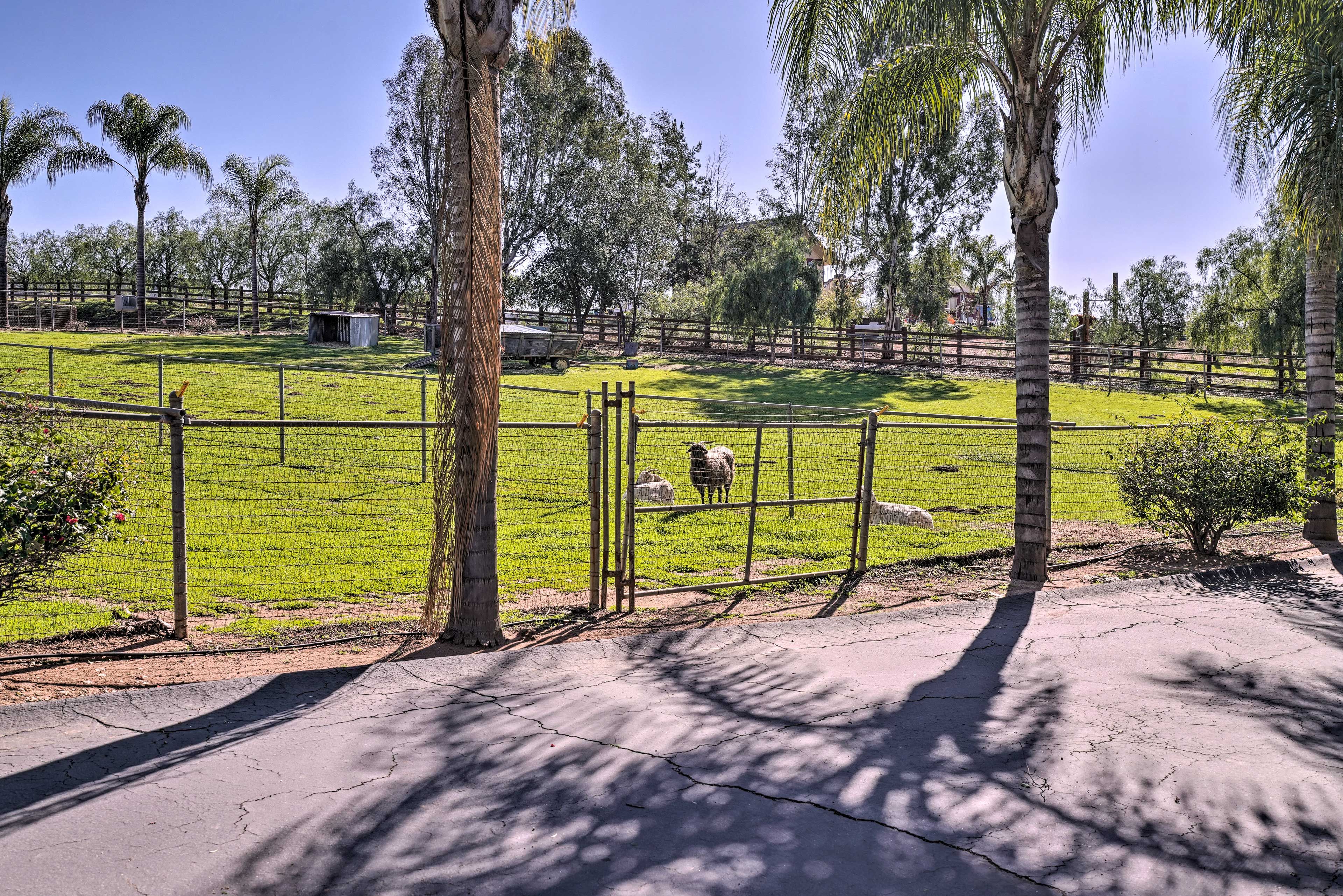 Say hello to your neighbors as you head out for the day.