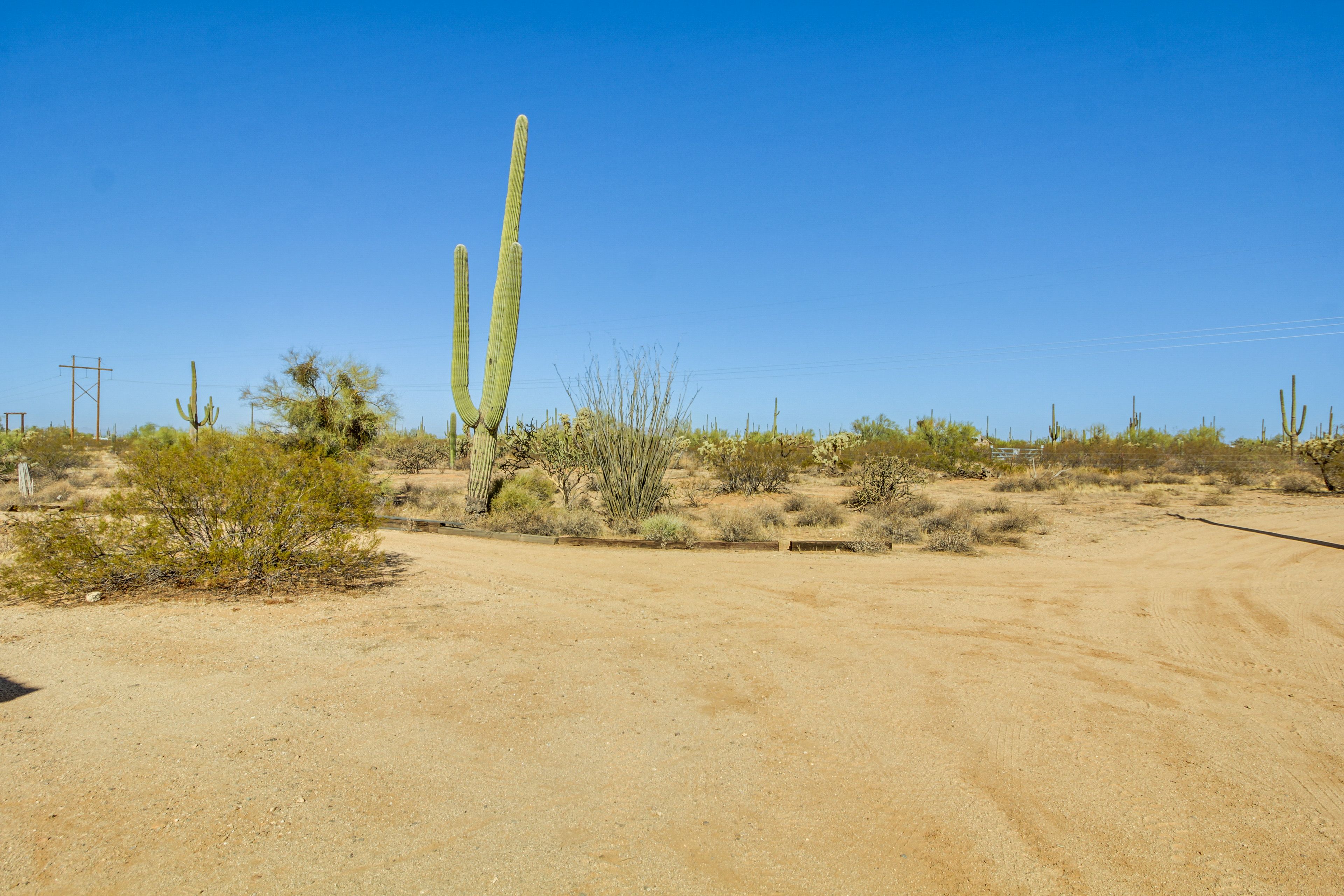 Desert Surroundings