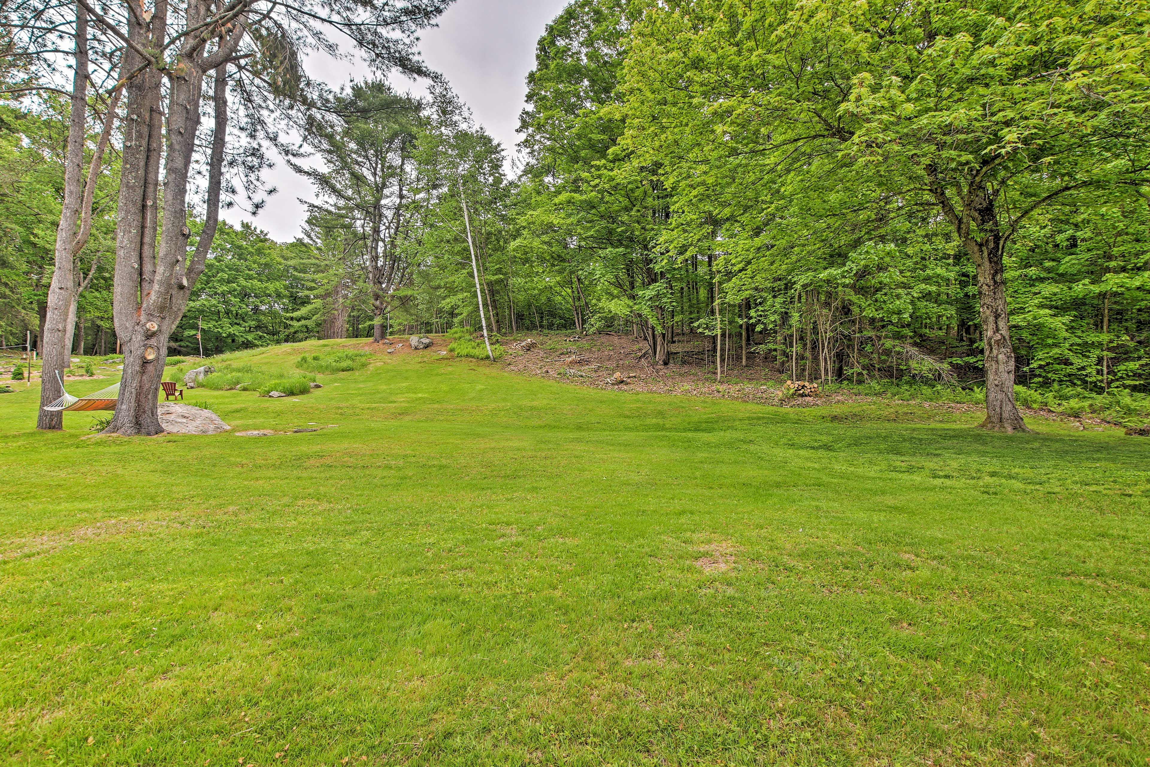 Spacious Yard
