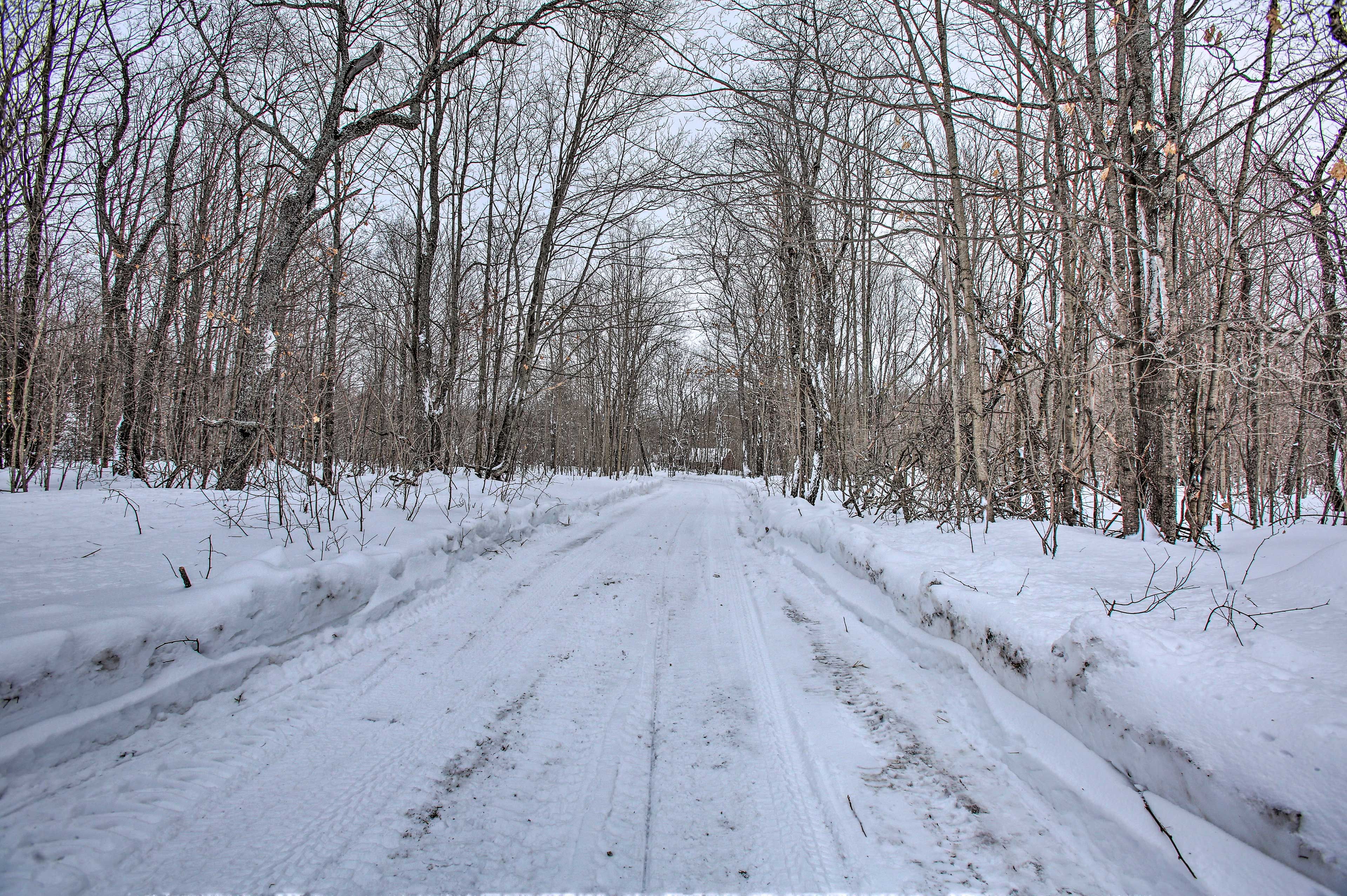 Image 31