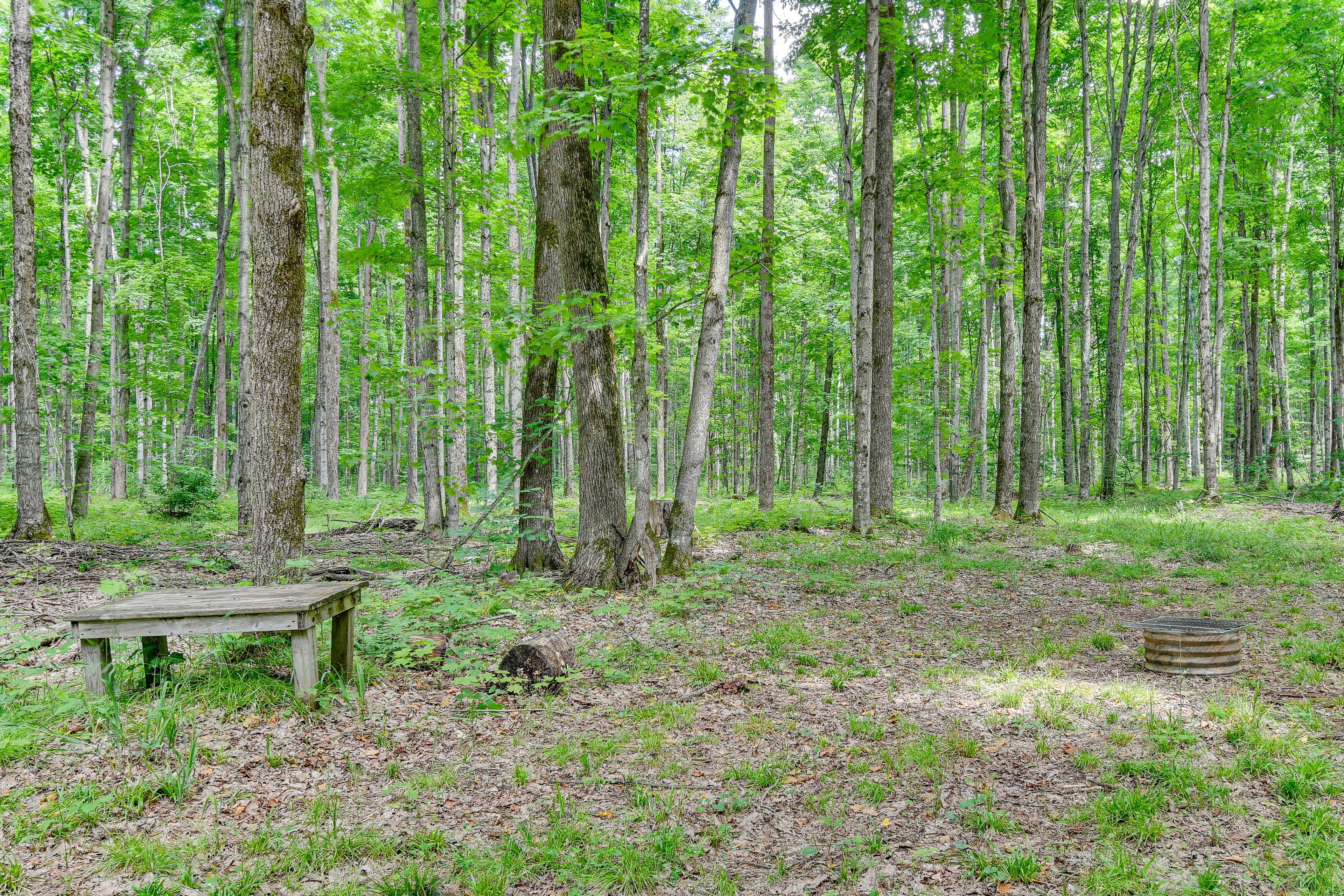 Exterior | Hunting Blinds