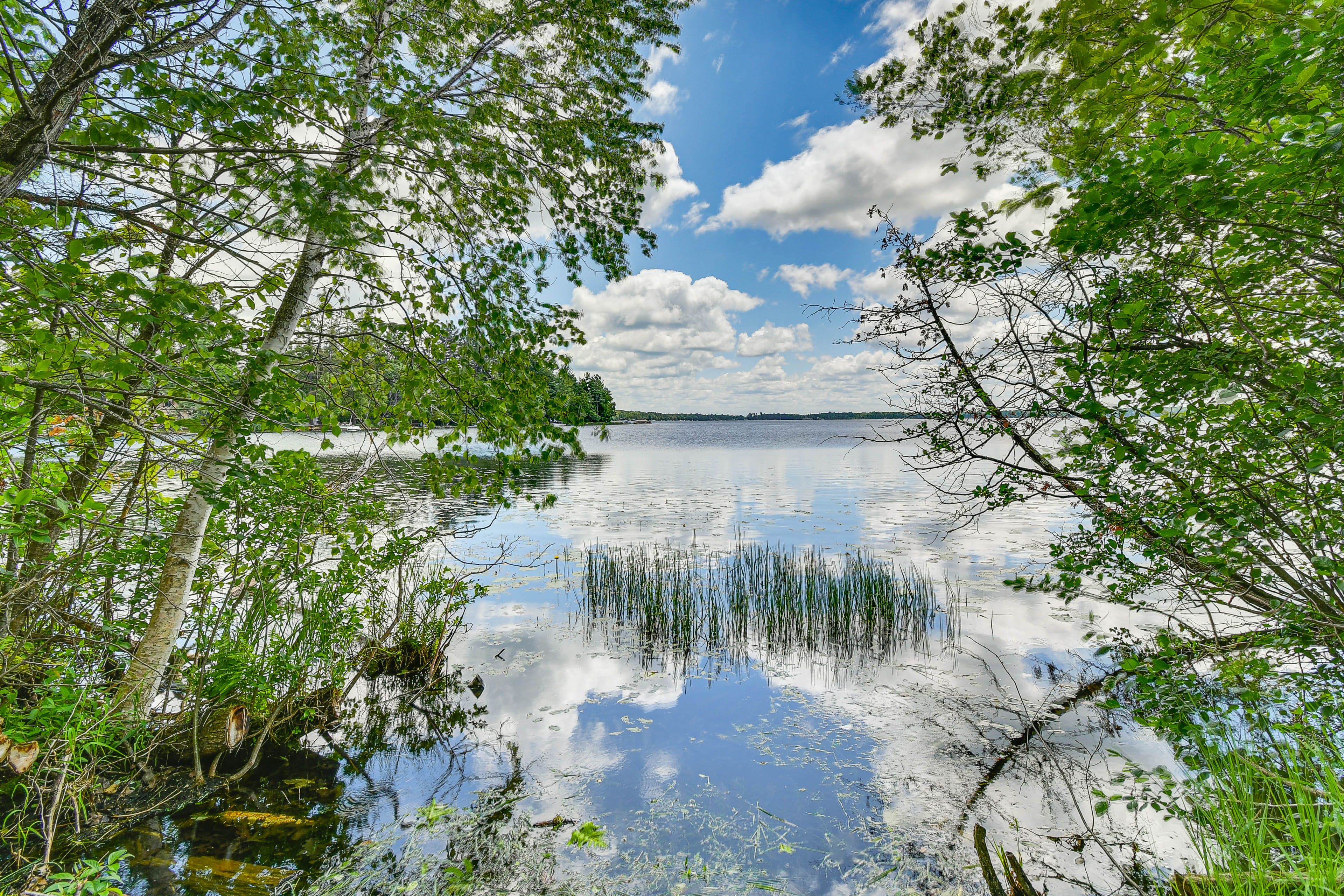 Manistee Lake | Walk to Lakefront