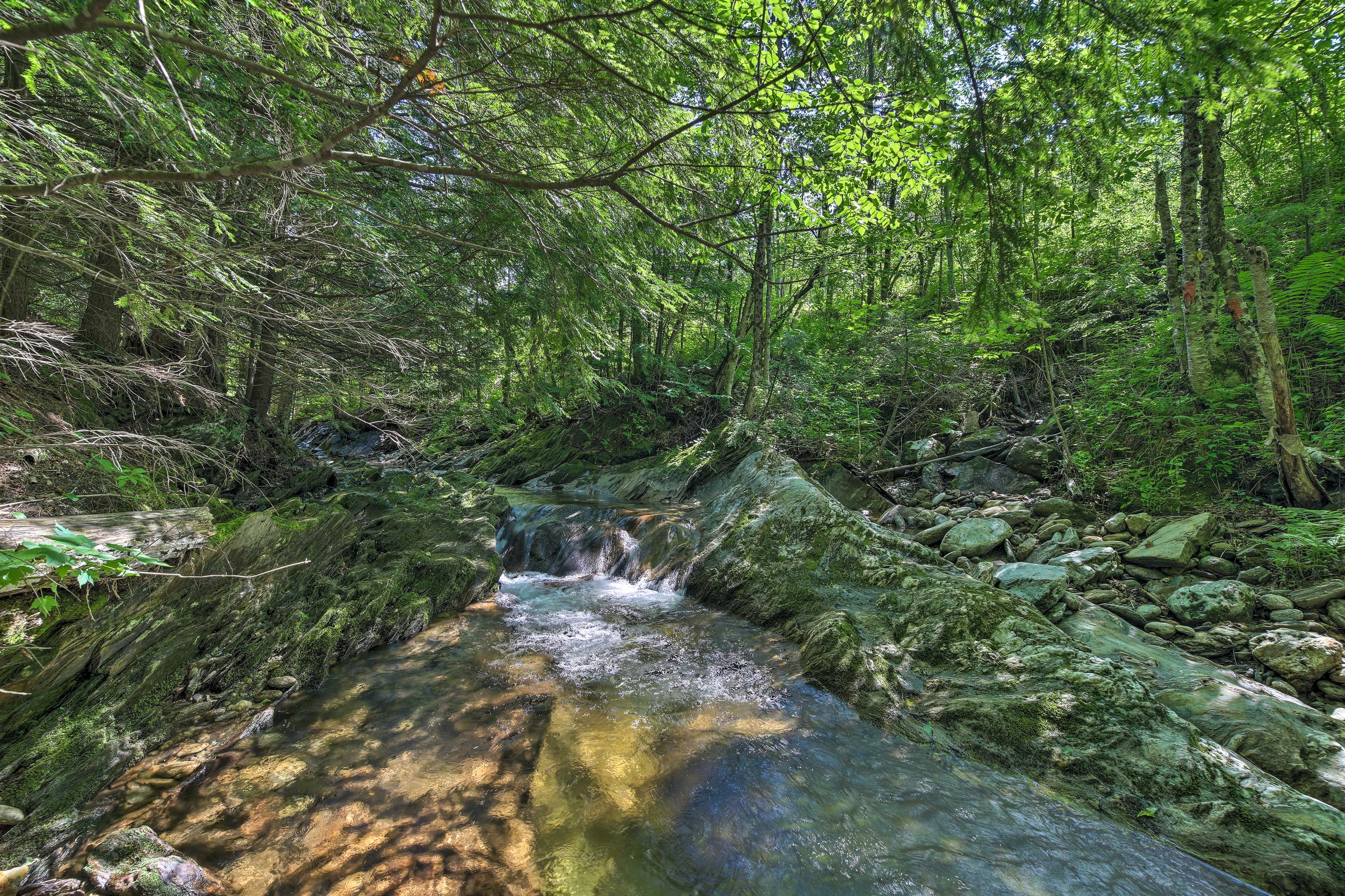 Image 32